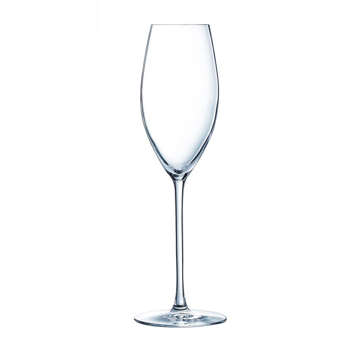 Luminarc Champagnerglas Glas Stück, Glas Durchsichtig Luminarc 240 Glas Grand ml 12 Chais