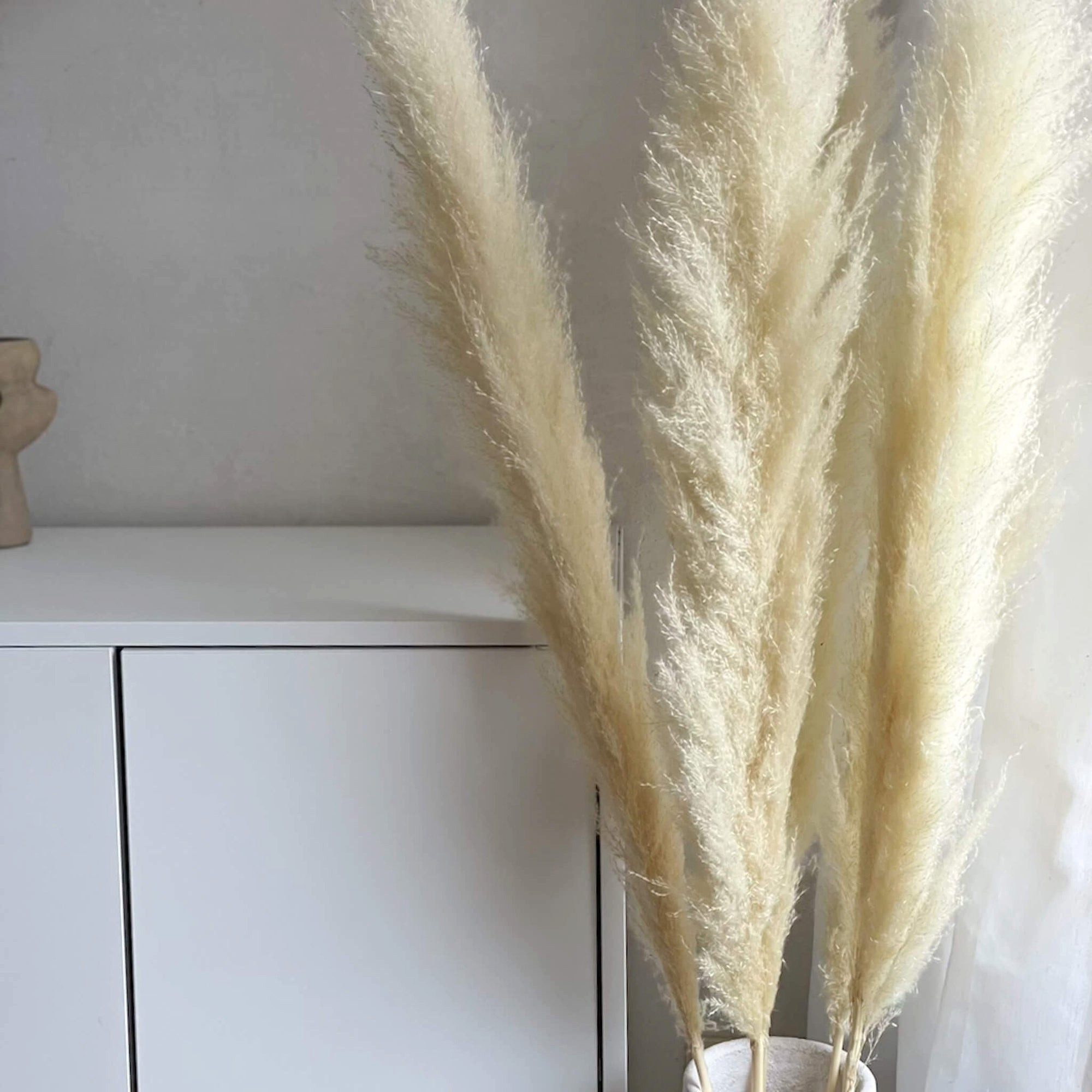 Trockenblume Pampasgras gebleicht Pampasgras, LYKKE & You günstig online kaufen