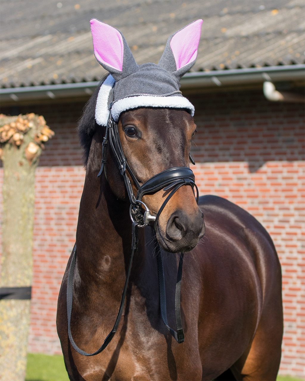 QHP Fliegenohren Fliegenohren Osterhase