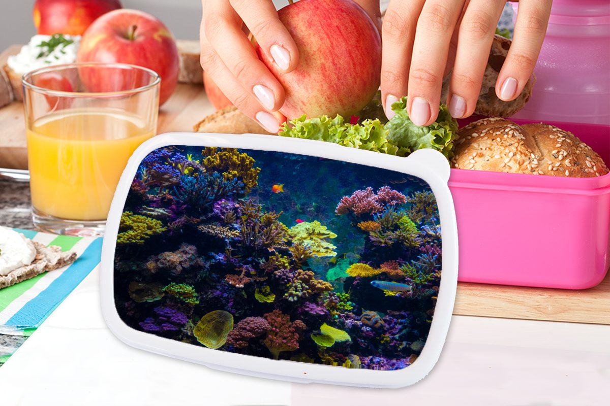 MuchoWow Lunchbox Koralle - Fisch, Snackbox, für - Kunststoff Kunststoff, Brotbox Farben rosa Kinder, Mädchen, Erwachsene, (2-tlg), Brotdose