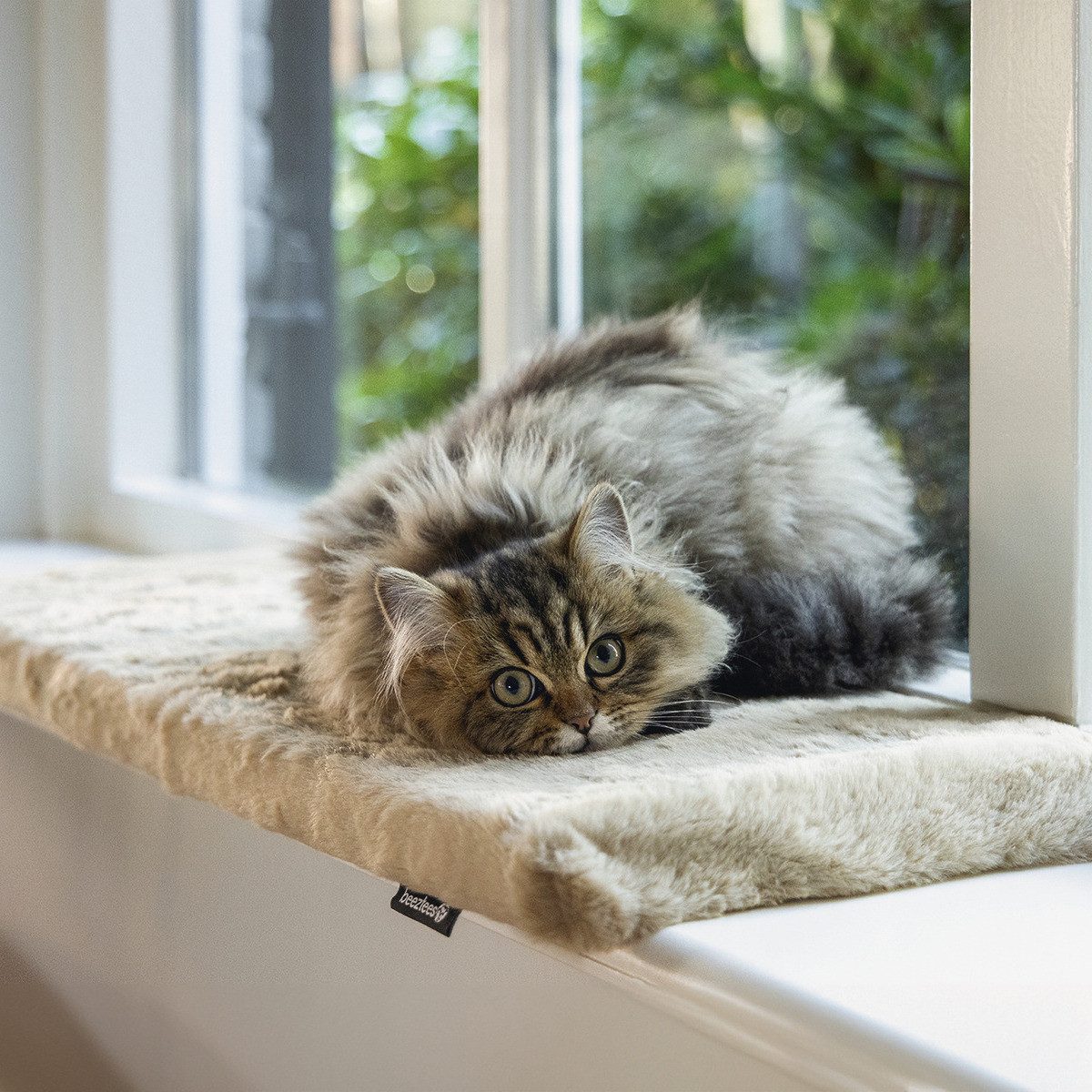 Beeztees Tierbett Fensterbankkissen Moza aus Plüsch beige günstig online kaufen