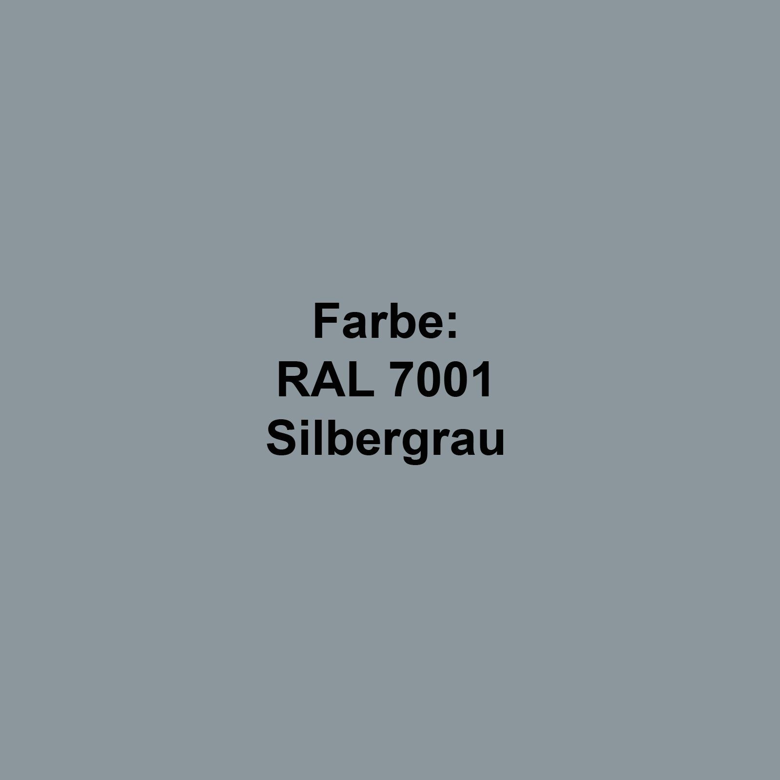 Flüssig-Kunststoff (RAL 7001 Silbergrau)