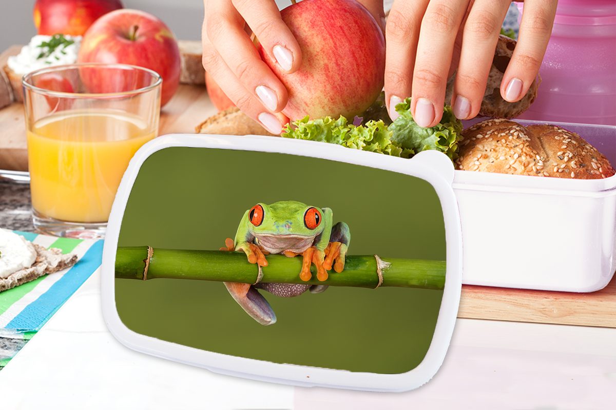 und und Brotdose, Bambus Frosch Kunststoff, - Brotbox Kinder für Jungs Grün, Mädchen Erwachsene, weiß für - MuchoWow Lunchbox (2-tlg),