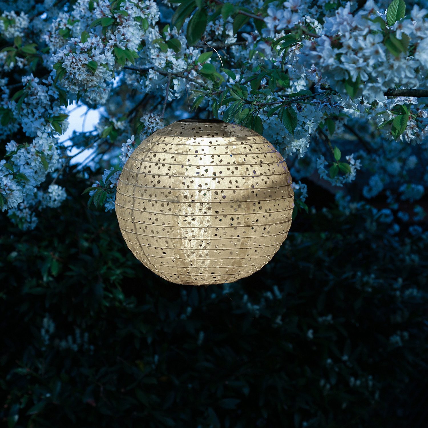MARELIDA LED Lampion Solar Gartenlampion mit Blumenmuster beige 25cm Party Balkon Terrasse, LED Classic, warmweiß (2100K bis 3000K)
