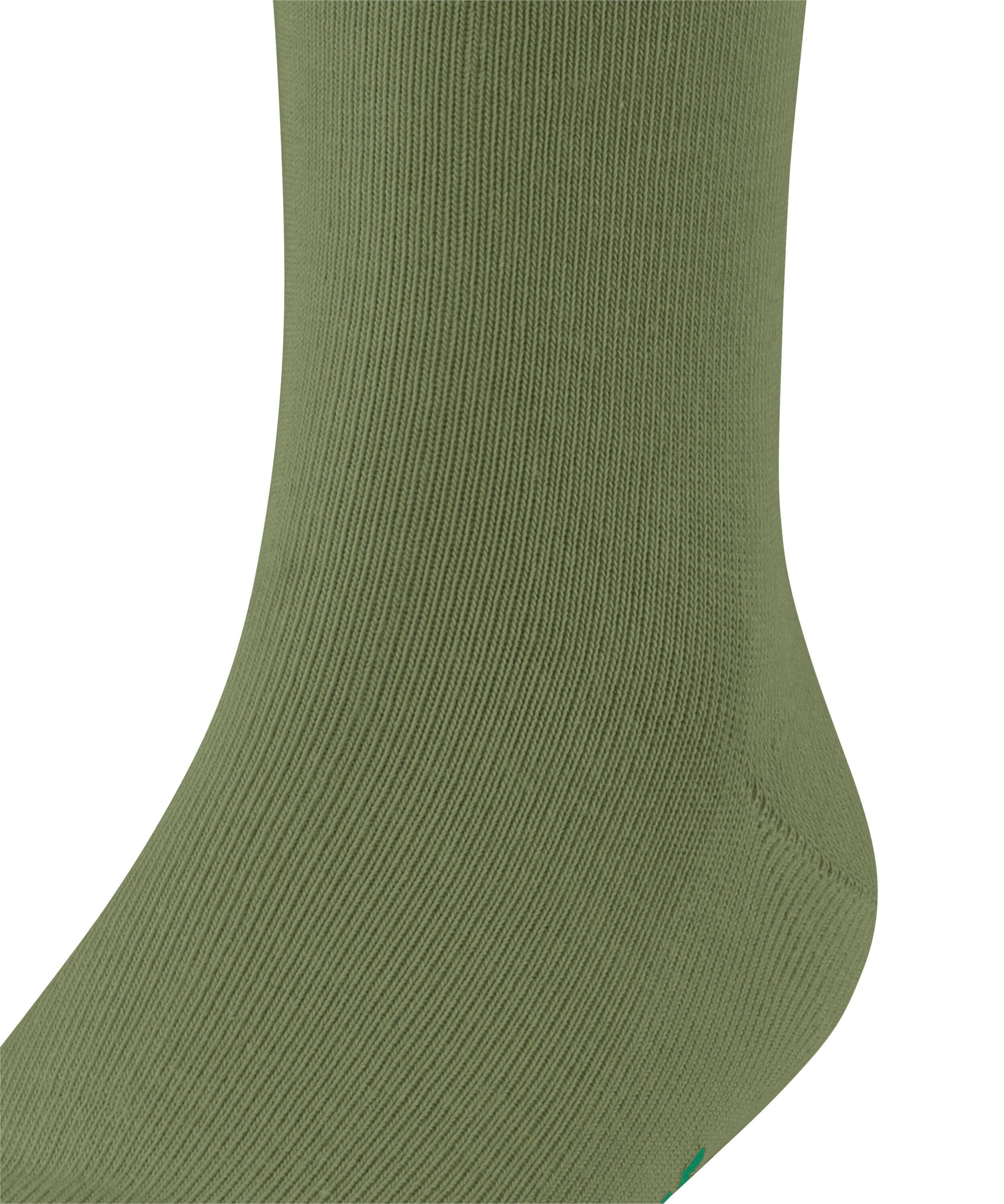 FALKE Socken Family (1-Paar) sern (7681) green