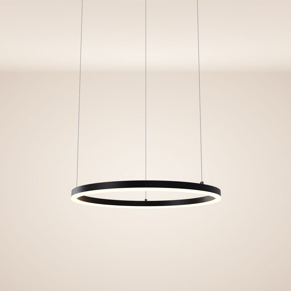 s.luce Pendelleuchte LED Pendelleuchte Ring 60 direkt oder indirekt 5m Abhängung Schwarz, Warmweiß