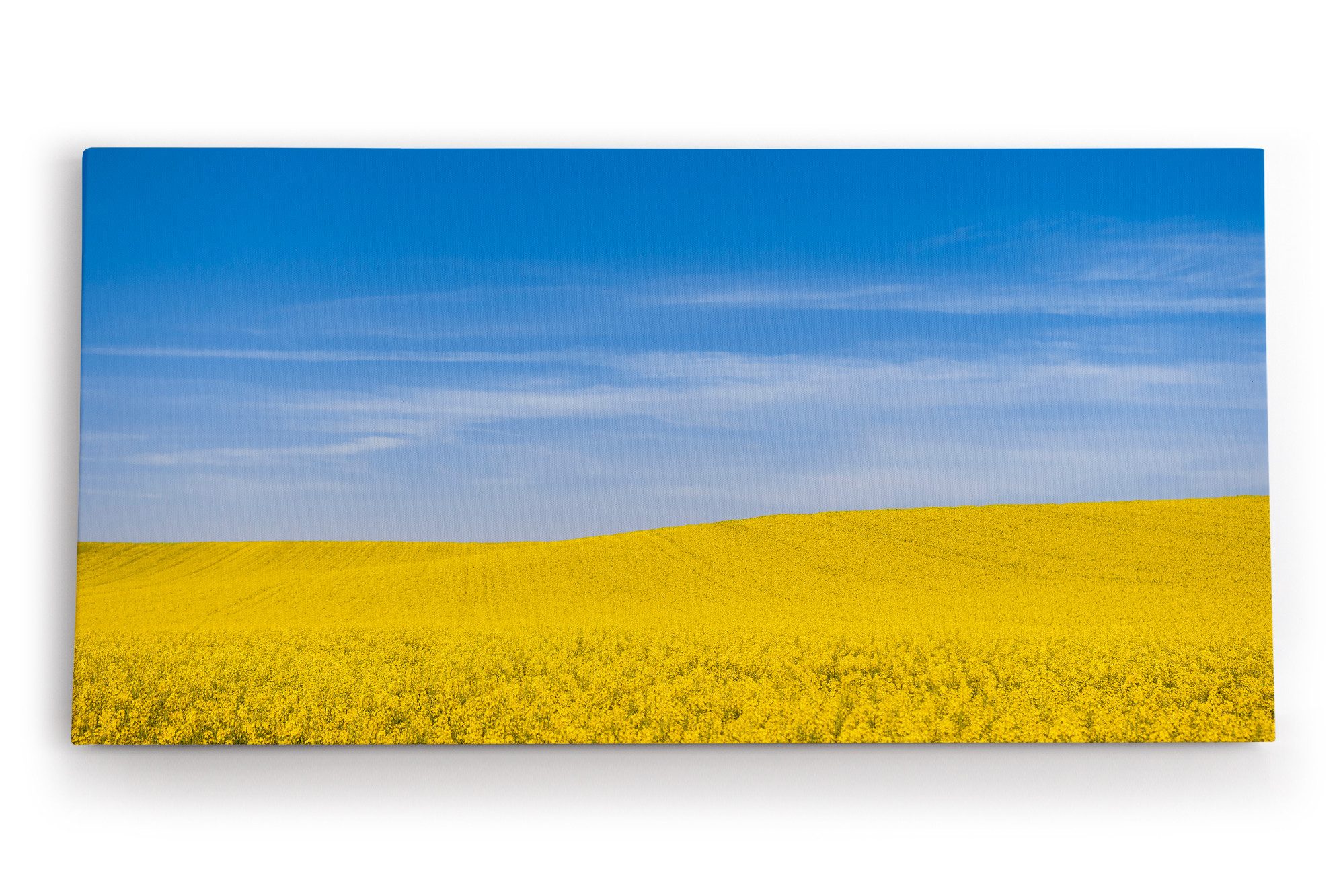 Leinwandbild Rapsfeld Raps Landschaft Gelb Himmel Sommer