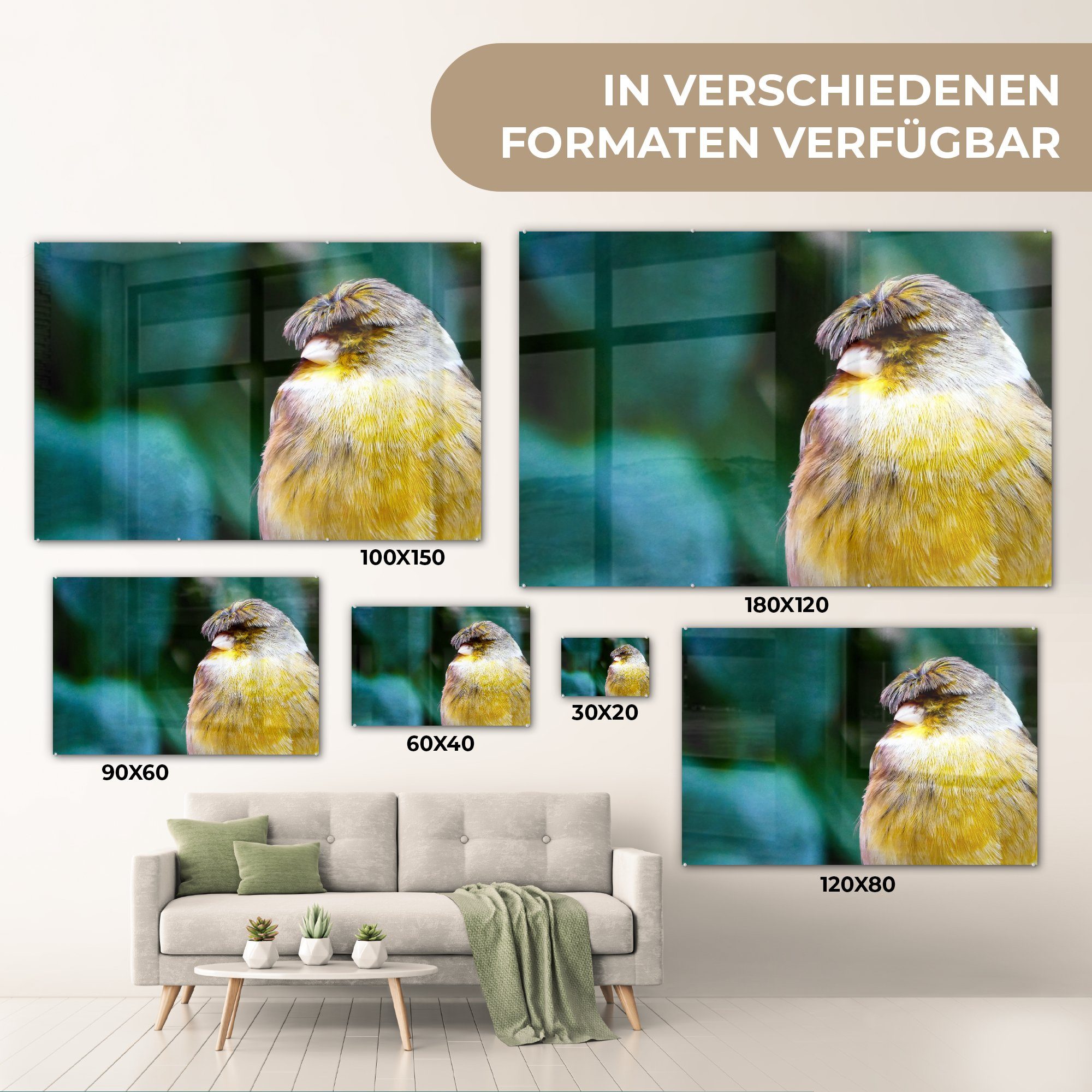 MuchoWow Acrylglasbild Nahaufnahme eines gelben Wohnzimmer & (1 St), Acrylglasbilder Kanarienvogels, Schlafzimmer