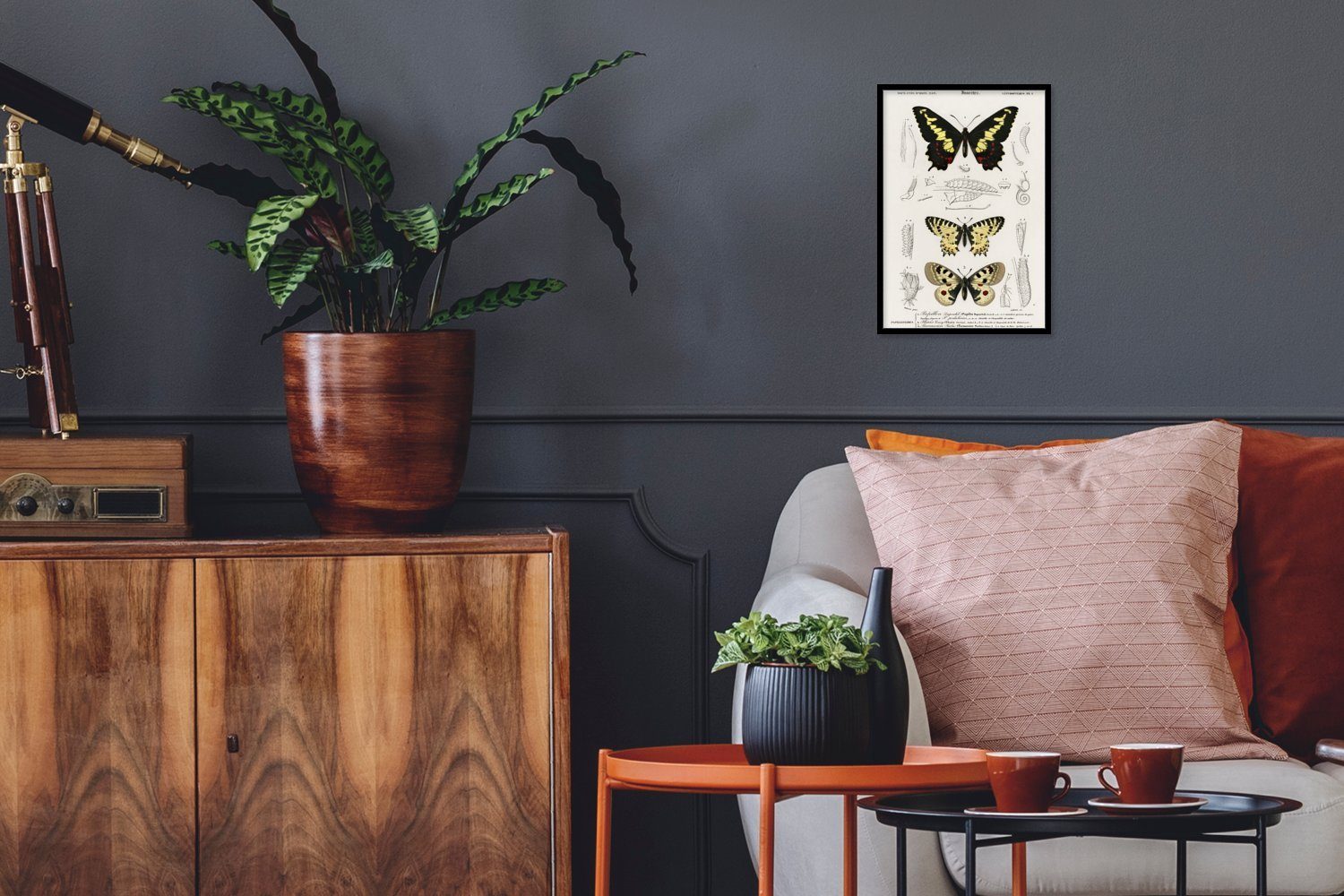 MuchoWow Poster Schmetterling - Vintage - Insekten, (1 St), Bilderrahmen, Zimmer Deko, Bild für Wohnzimmer, 20x30 cm