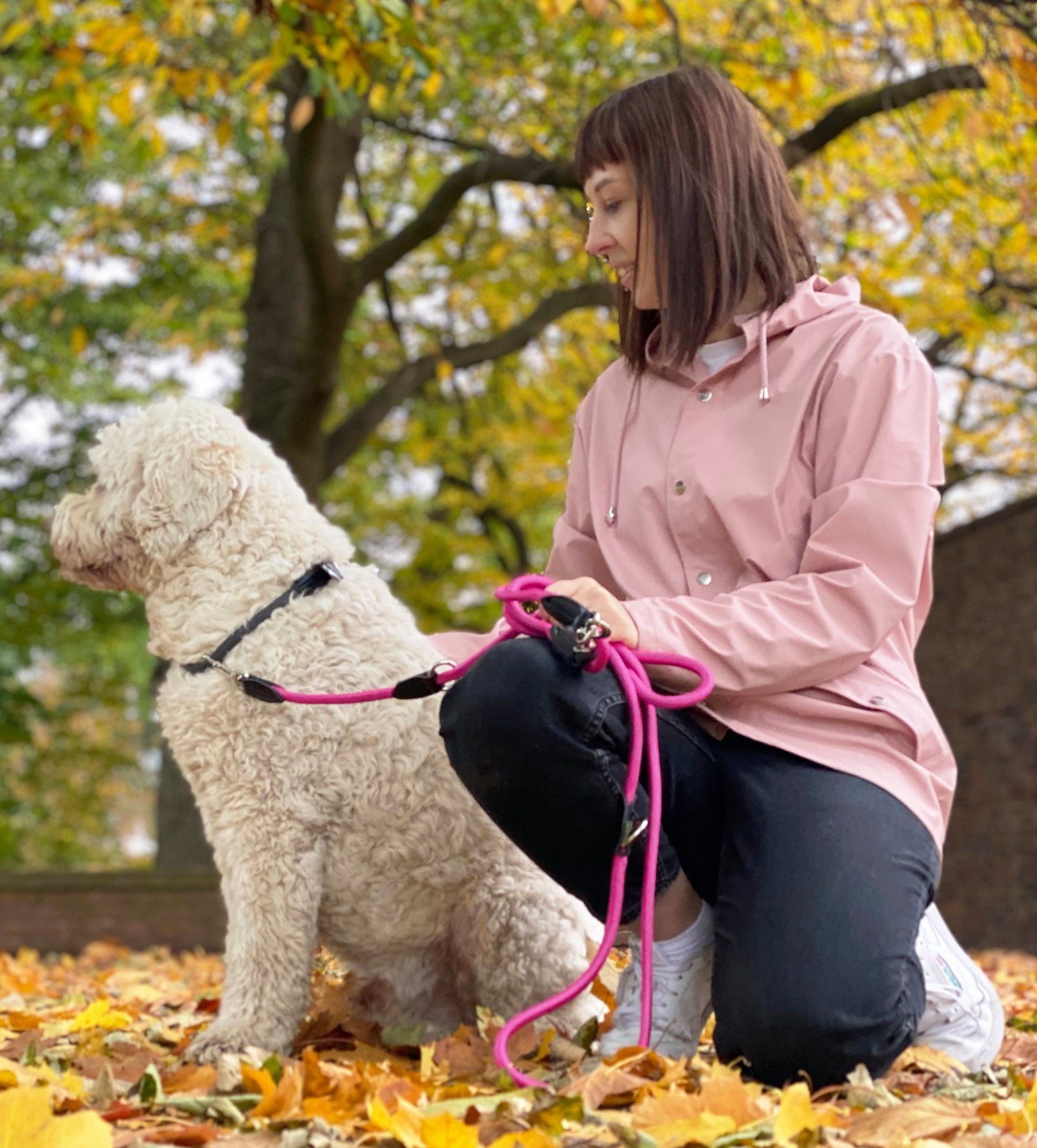Leisegrün Hundeleine für große Hunde, 3m, 3-fach verstellbar, Nylon, Doppelleine für 2 Hunde, Führleine, Freihandleine, Trainingsleine – Bild 5 von 5