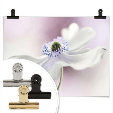 Wall-Art Poster Anemone Kunstdruck, Pflanzen (1 St), Poster ohne Bilderrahmen