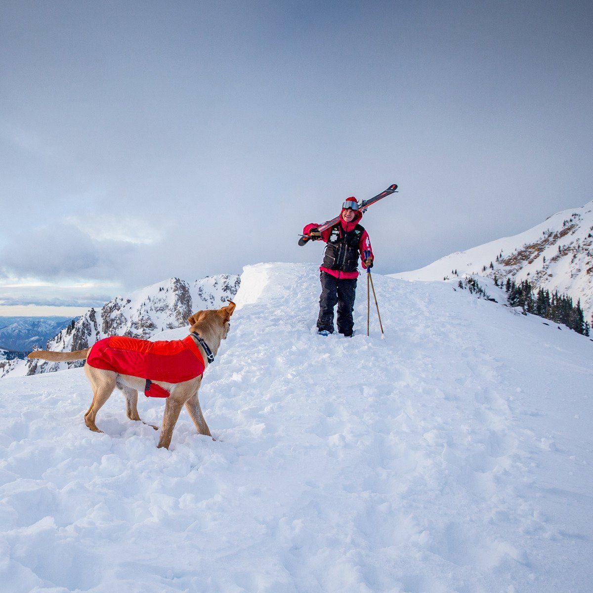 Ruffwear Hundemantel Hundejacke Vert Jacket Sockeye Red