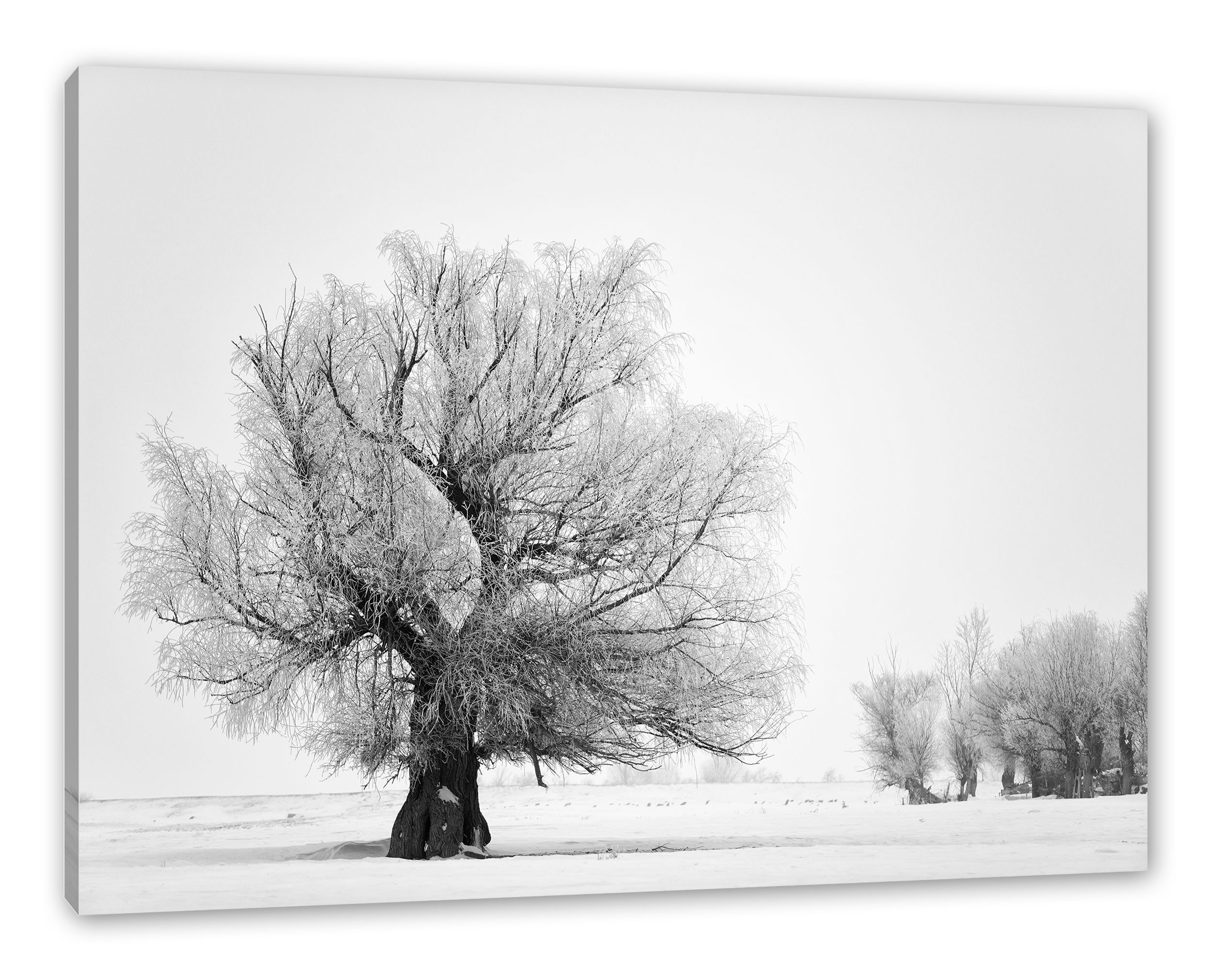 Pixxprint Leinwandbild Bäume im Schnee Nebel, Bäume im Schnee Nebel (1 St), Leinwandbild fertig bespannt, inkl. Zackenaufhänger