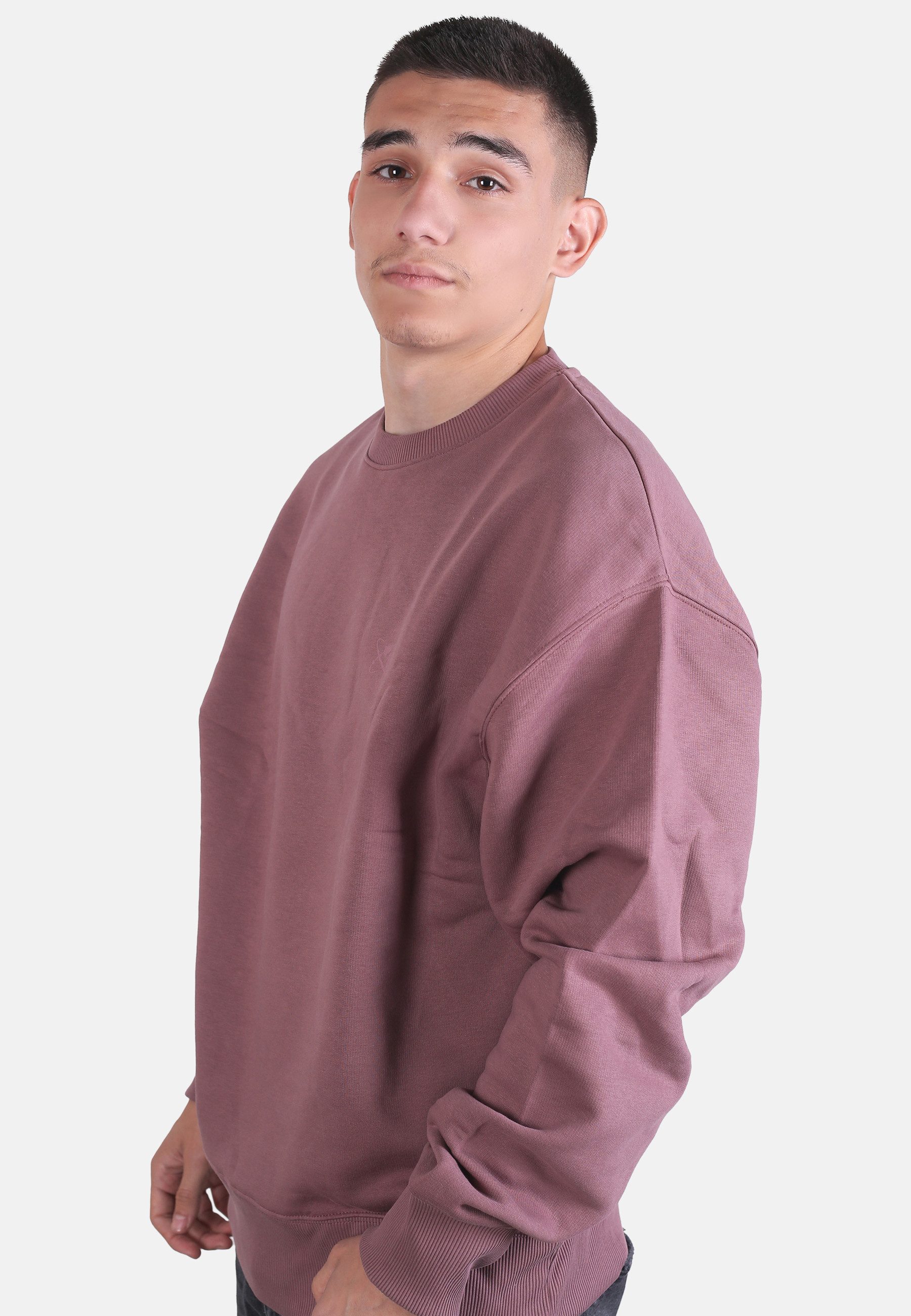 Rocket Science Sweatshirt Organic