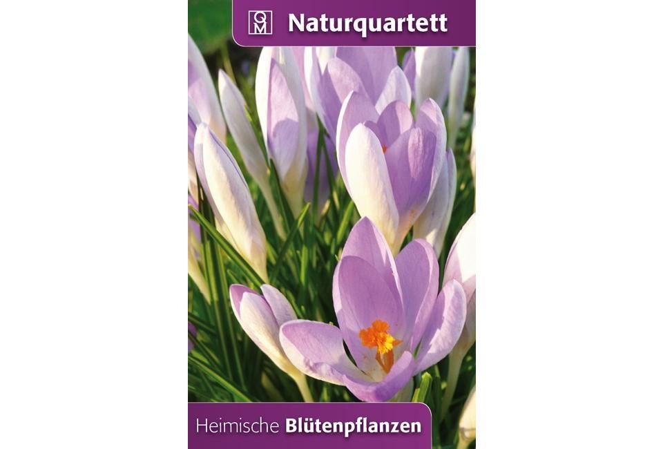 Spiel Heimische Blütenpflanzen