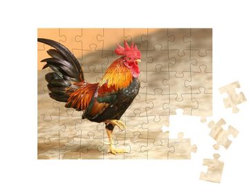 puzzleYOU Puzzle Hahn, 48 Puzzleteile, puzzleYOU-Kollektionen Hähne