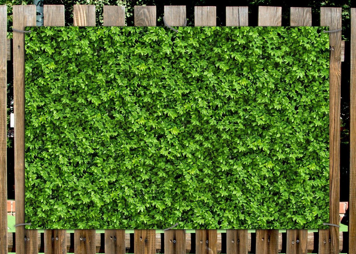 Thumbnail - Wallario Sichtschutzzaunmatten Grüne Hecke