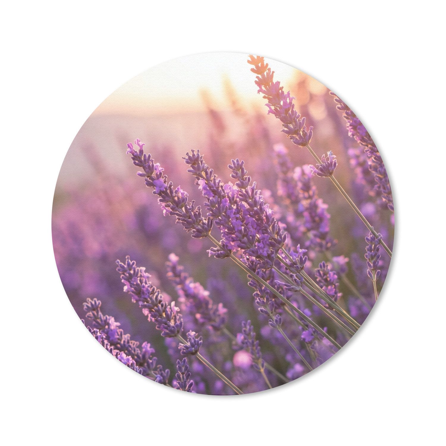 MuchoWow Mauspad Lavendel - Lila - Sonnenlicht (1-St), Büro für Tastatur und Maus, Mousepad Gaming, Rund 20x20 cm