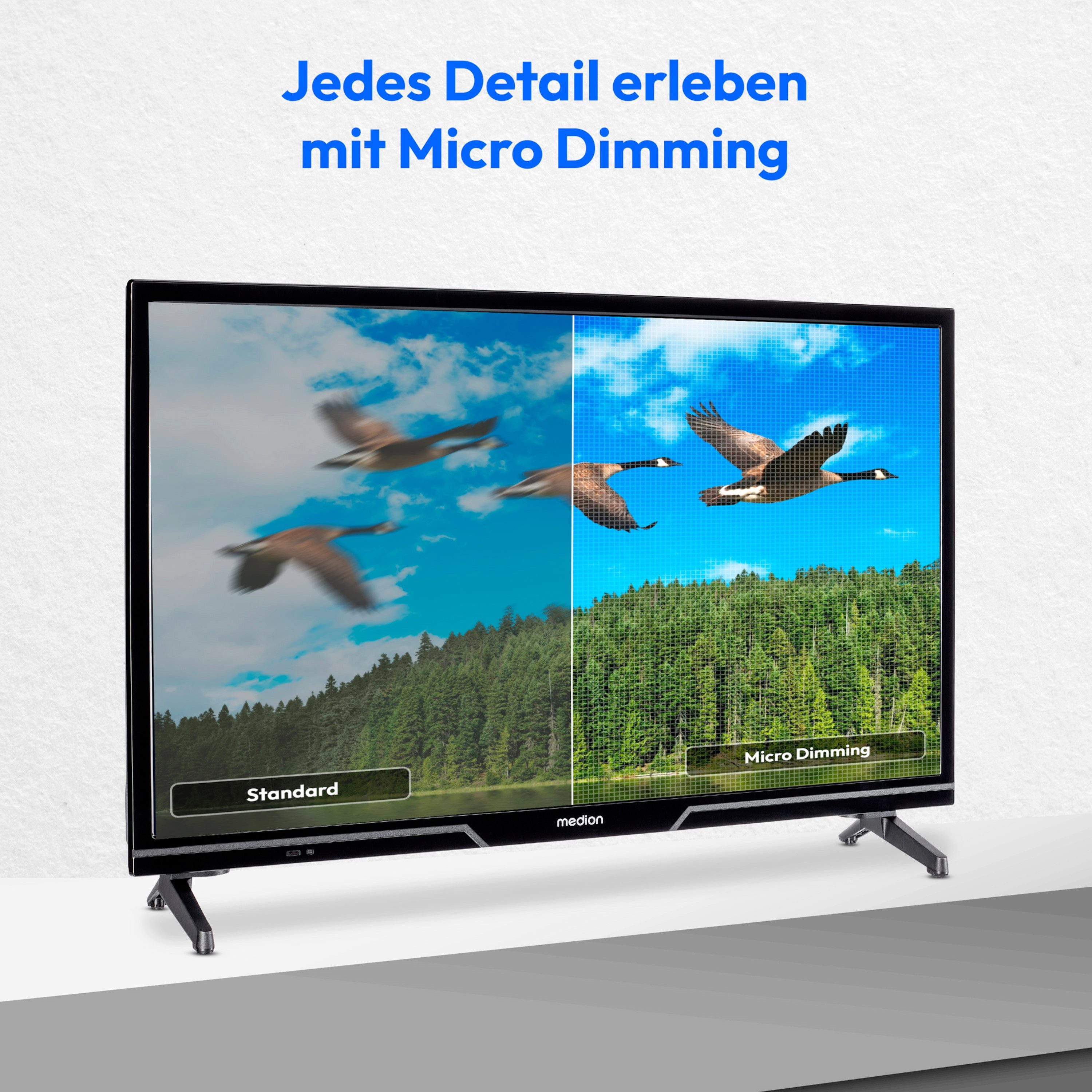 Medion® MD824100 LCD-LED Fernseher (59.8 cm/24 Zoll, 720p HD Ready, Android TV, HDR10, DTS HD, Virtual X, Playstore, Netflix, HBO Max, Prime Video)