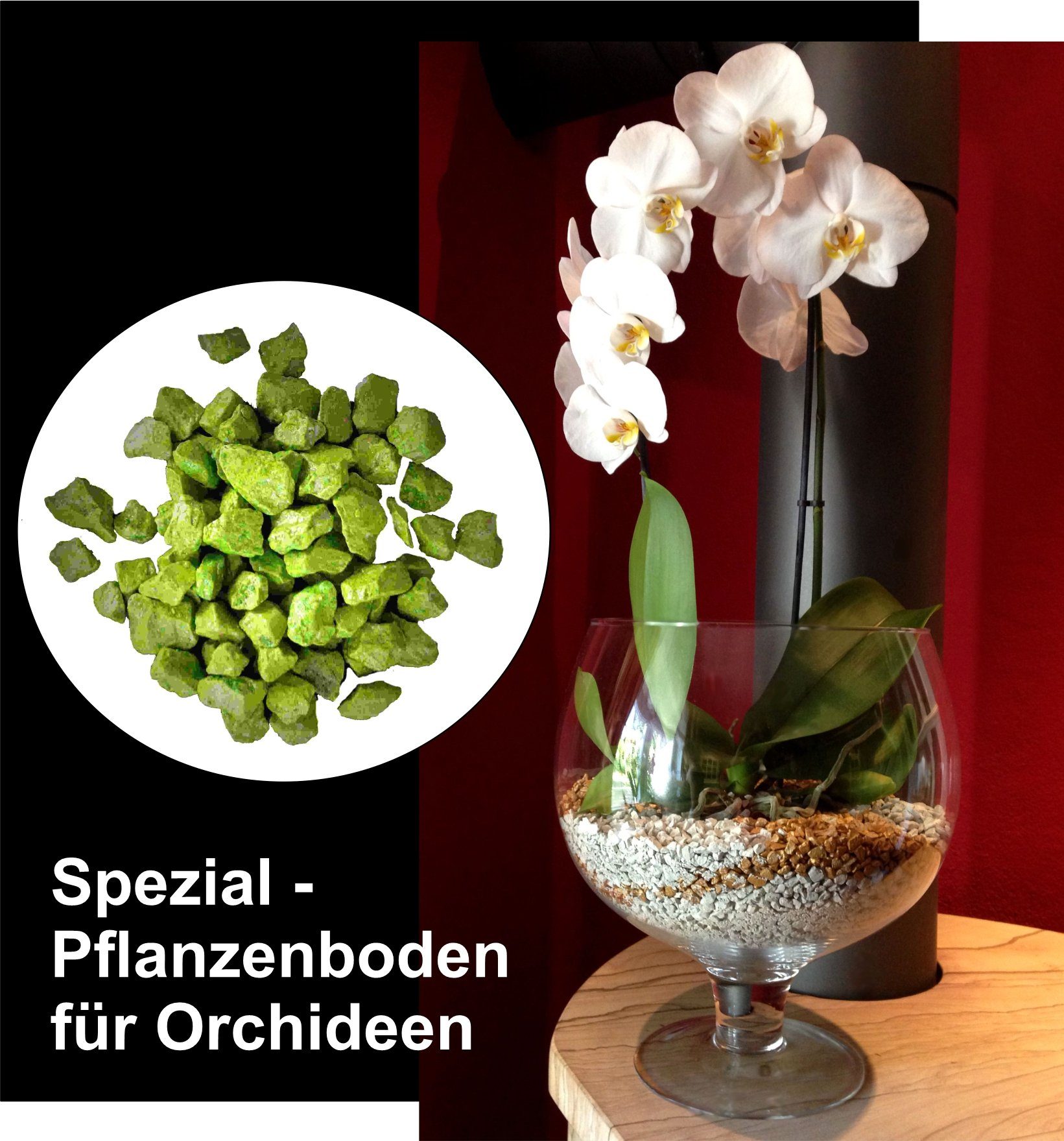 colomi Pflanzgranulat Spezial Pflanzboden für Orchideen - patentiert grün, 1 Liter