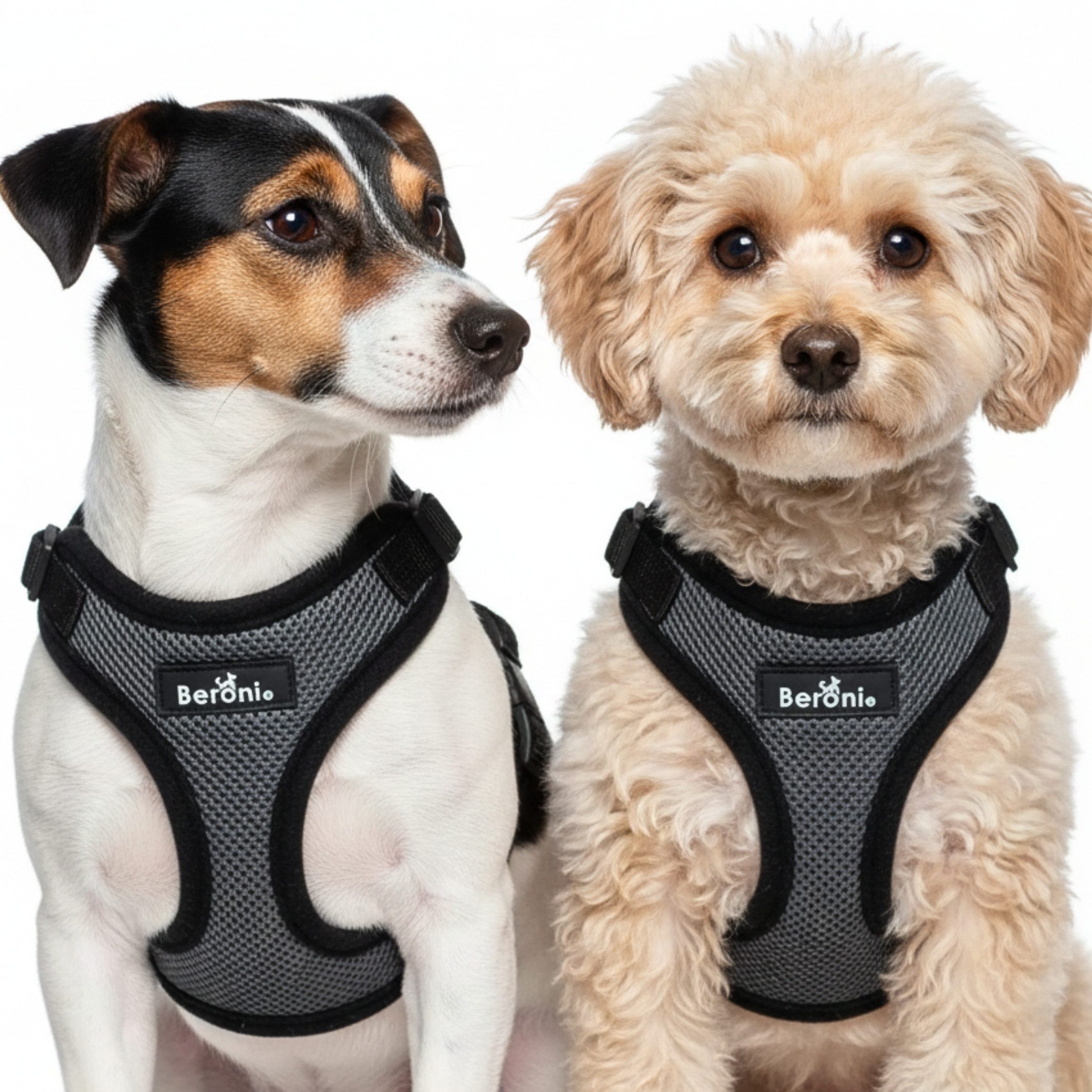 Beroni Hunde-Geschirr Softgeschirr Hundegeschirr nicht über Kopf verstellba günstig online kaufen