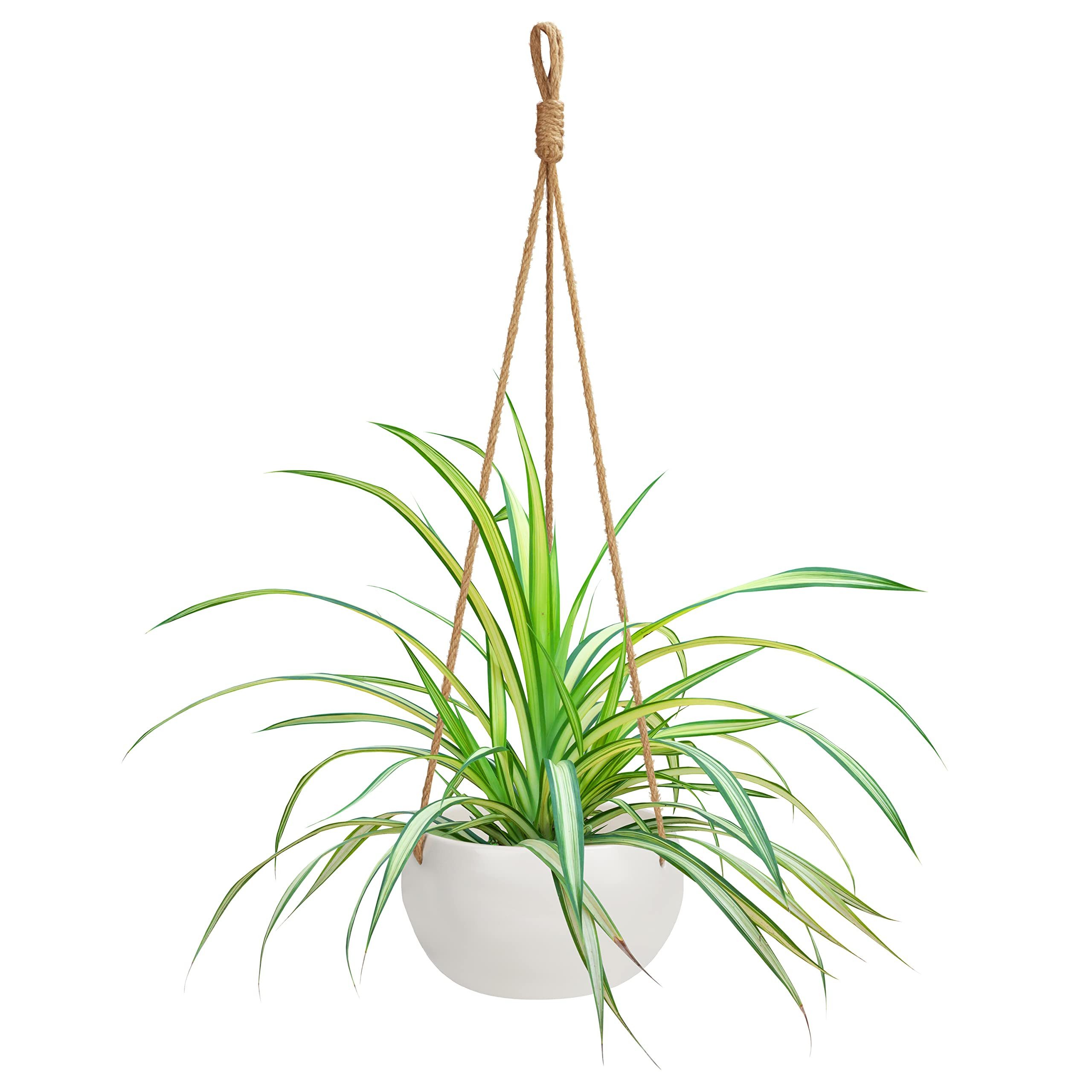 Belle Vous Dekohänger Weiße Hängende Blumentopf günstig online kaufen