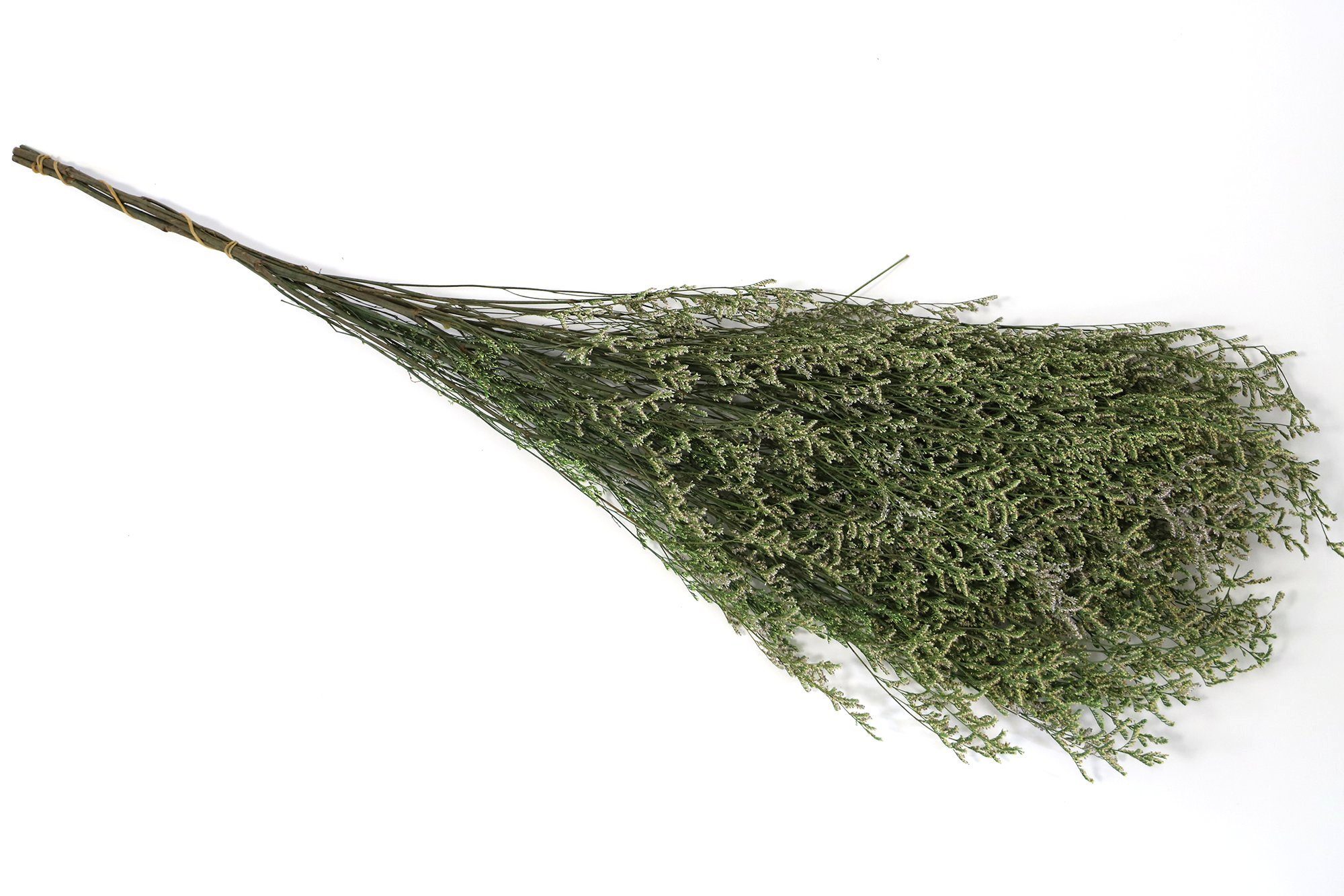 Gräser Trockenblume Getrocknete Kunstharz.Art vielen in Farben Natur, -