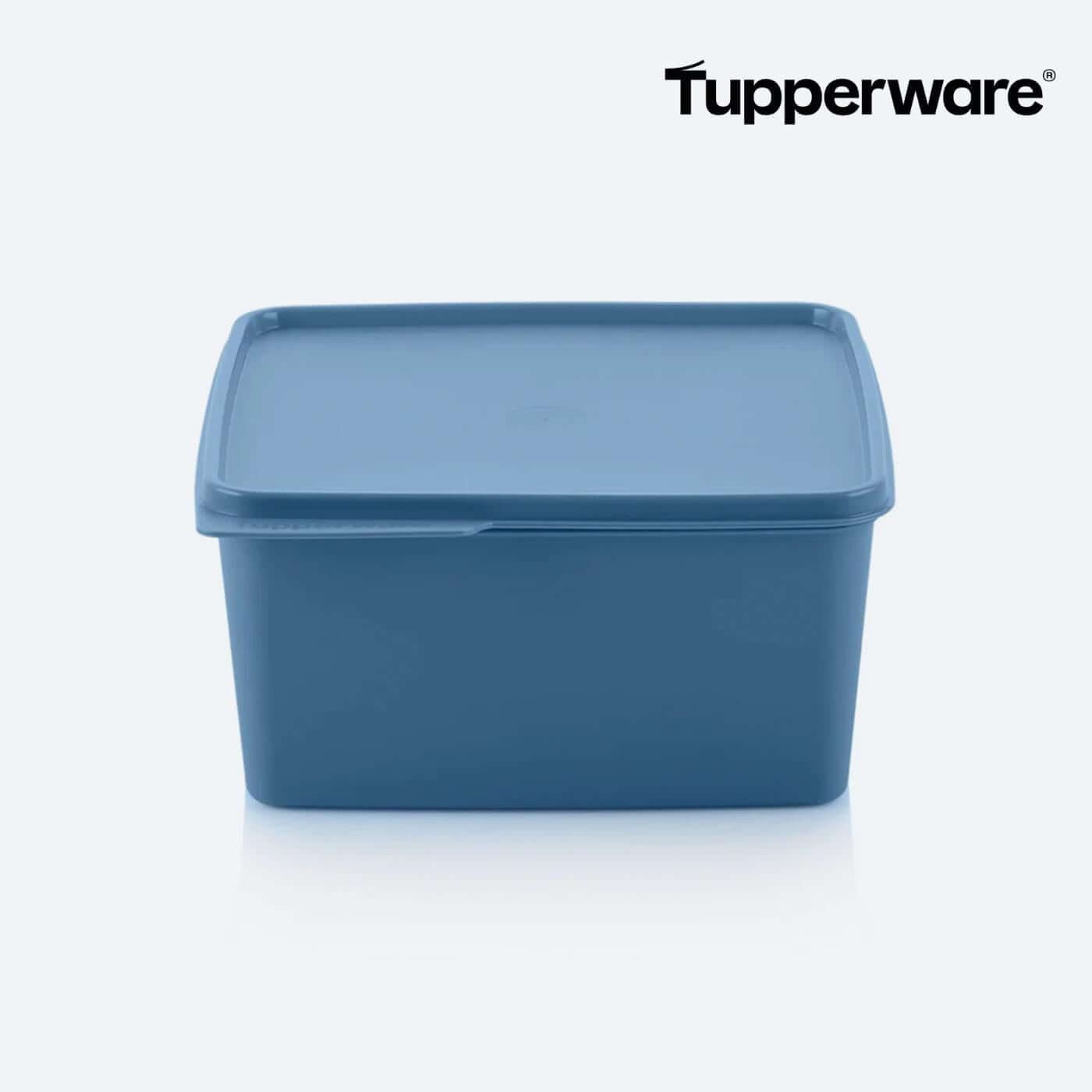 TUPPERWARE Vorratsdose Basic Line 2,5 Liter