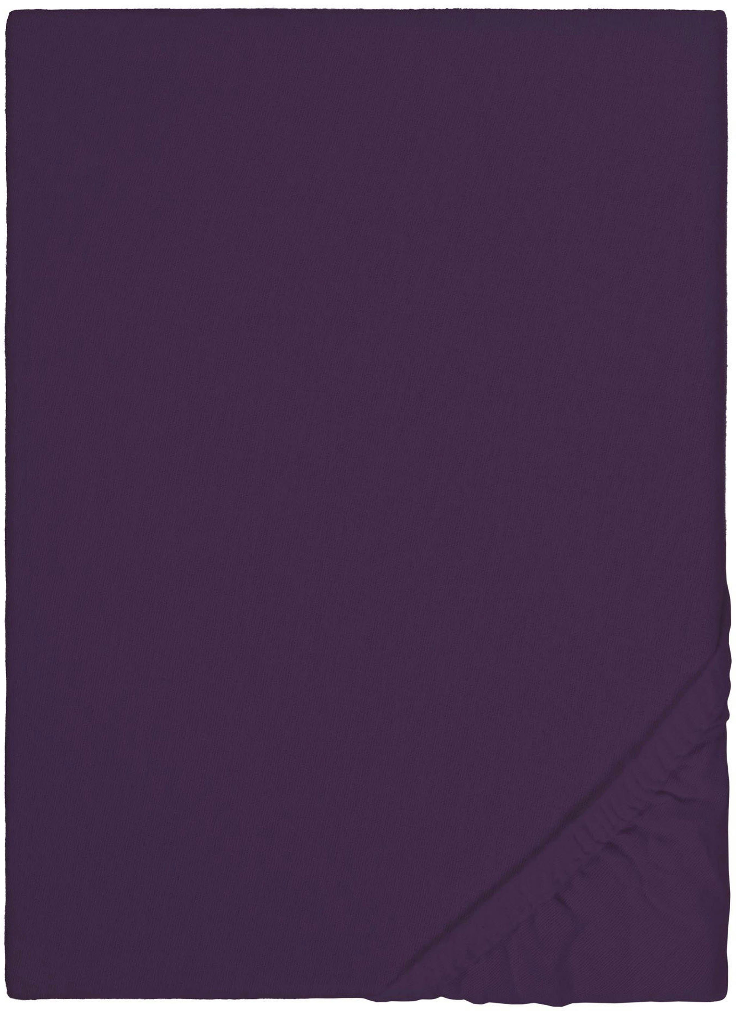 Biberna Spannbettlaken Biber in Gr. 90x200, günstig online kaufen