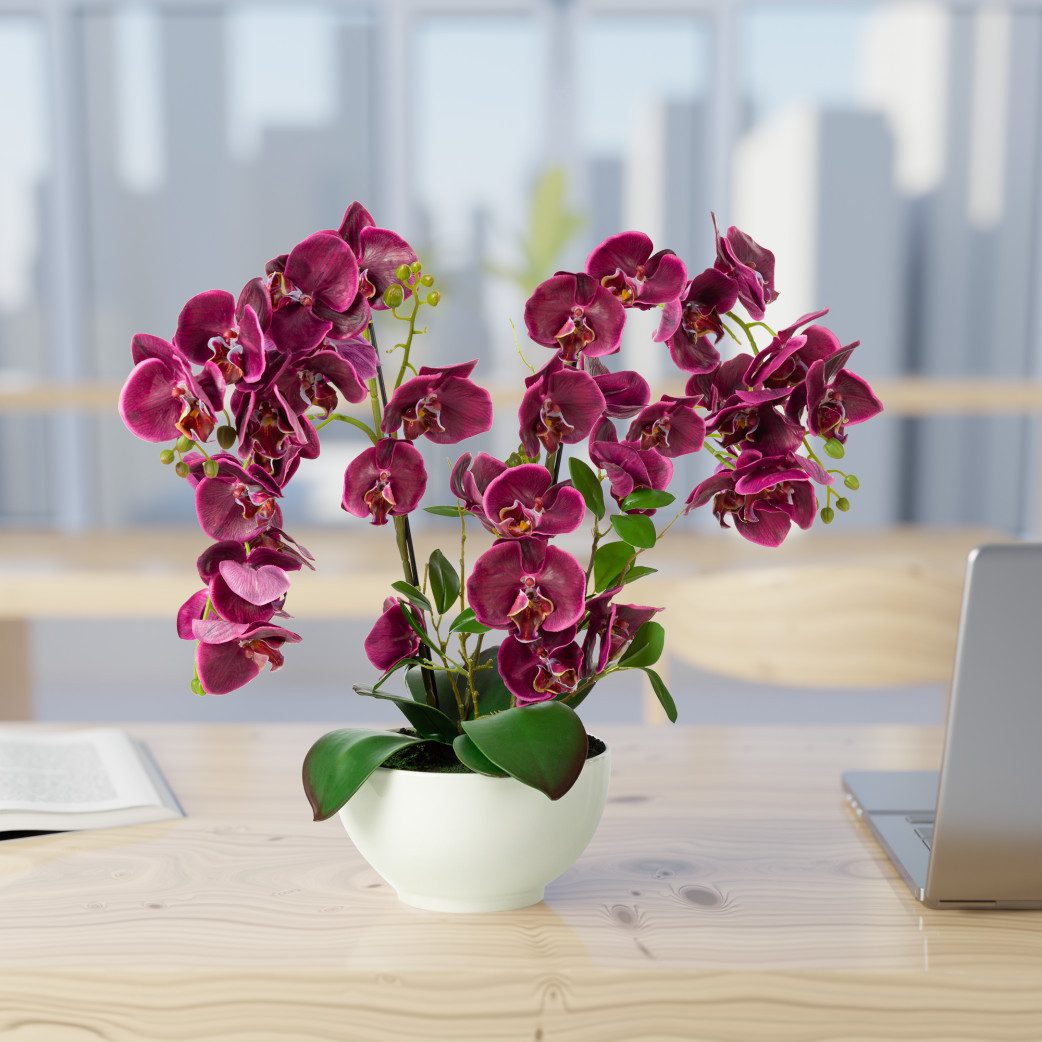Kunstorchidee PASCH® XXL Orchidee künstlich wie günstig online kaufen