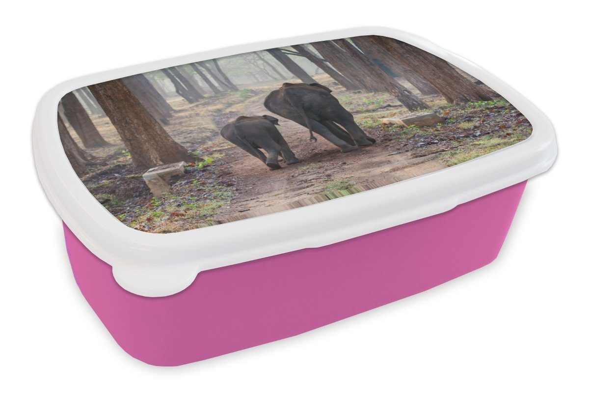 MuchoWow Lunchbox Elefant - Kalb - Wald, Kunststoff, (2-tlg), Brotbox für Erwachsene, Brotdose Kinder, Snackbox, Mädchen, Kunststoff rosa