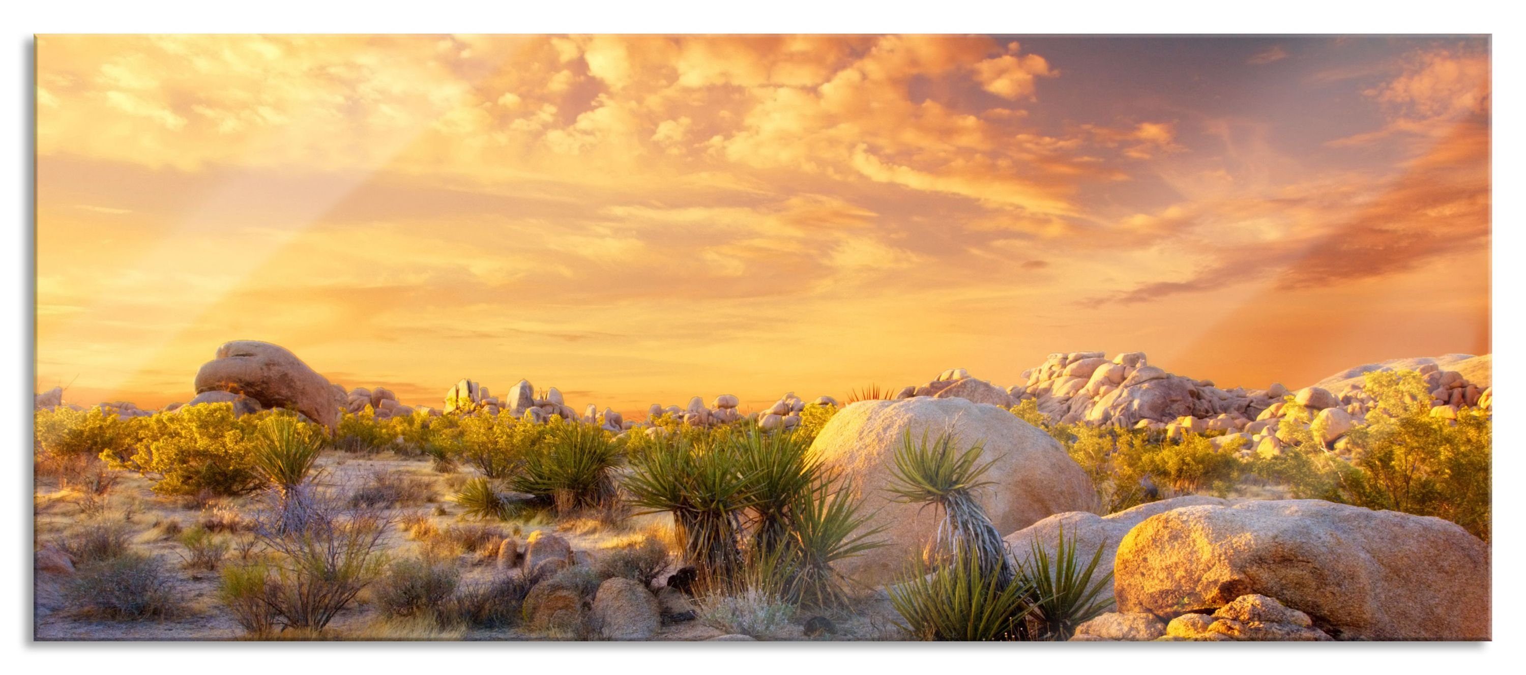 Pixxprint Glasbild Joshua Wüste im Sonnenuntergang, Joshua Wüste im Sonnenuntergang (1 St), Glasbild aus Echtglas, inkl. Aufhängungen und Abstandshalter | Bilder