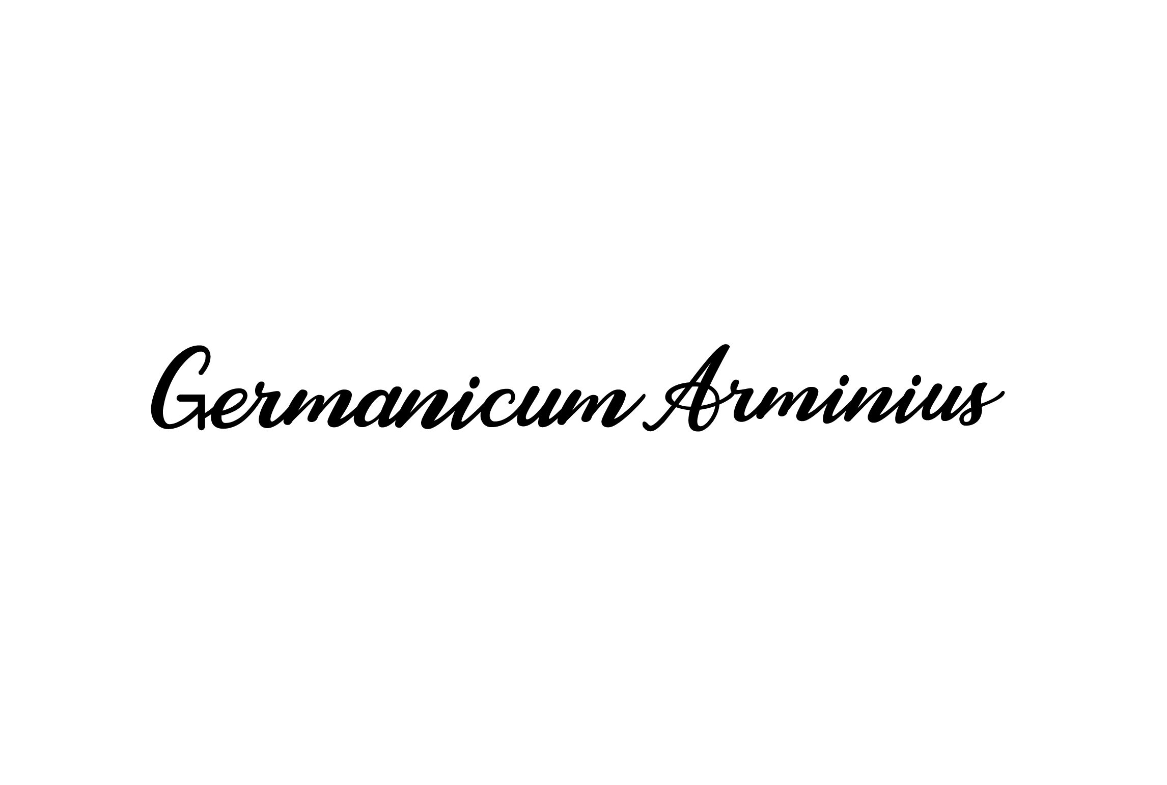 4 Set Tlg Damastmesser Arminius Germanicum Messer- Sternsteiger