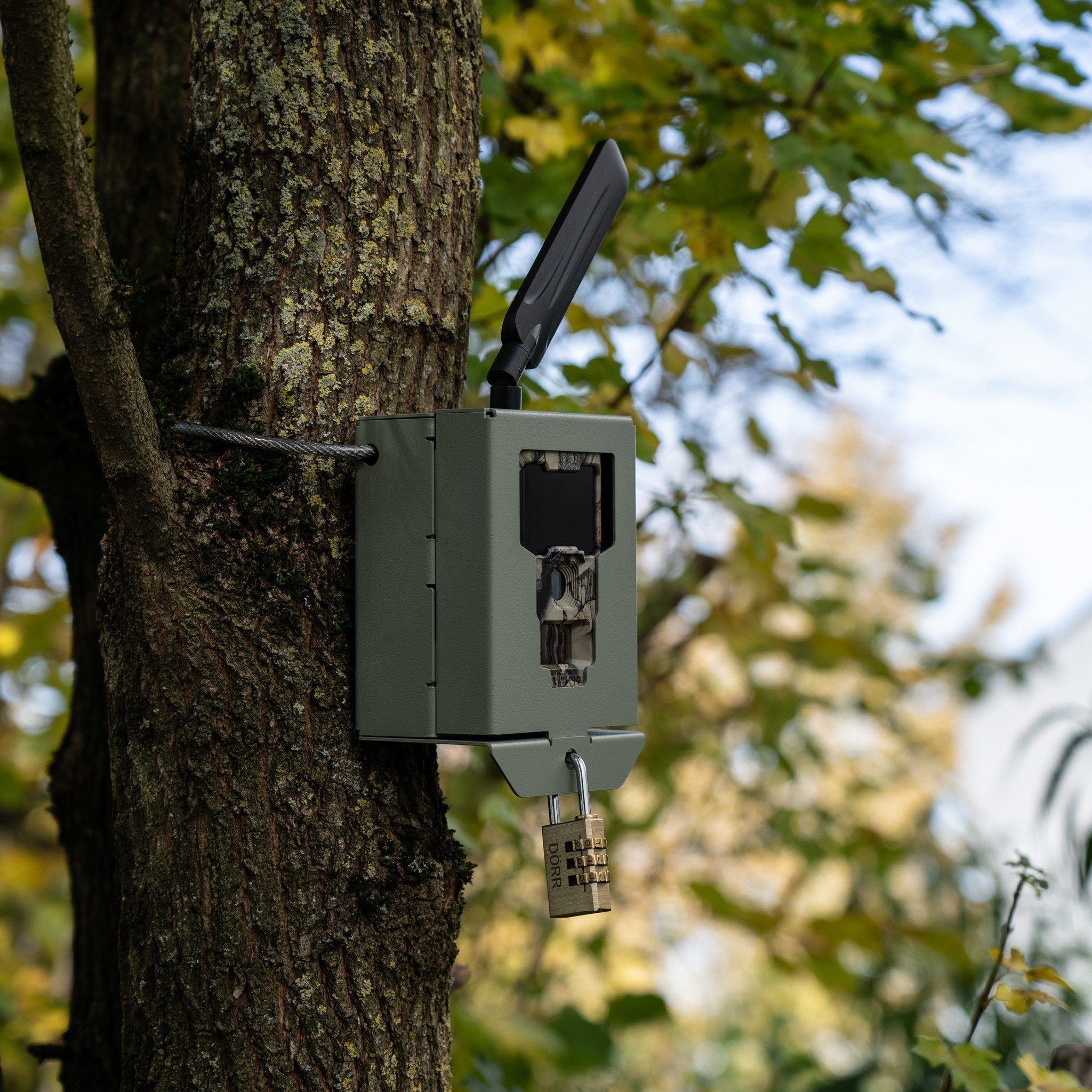 Dörr Überwachungskamera Zubehör Metallschutzgehäuse für Cloud Mini 4G LTE, Mini 5.0 Pro Wildkamera (Außenbereich, Innenbereich, 2-tlg., Diebstahlschutz, Wetterfest, Rostfrei, Abschließbar, Made in Germany)