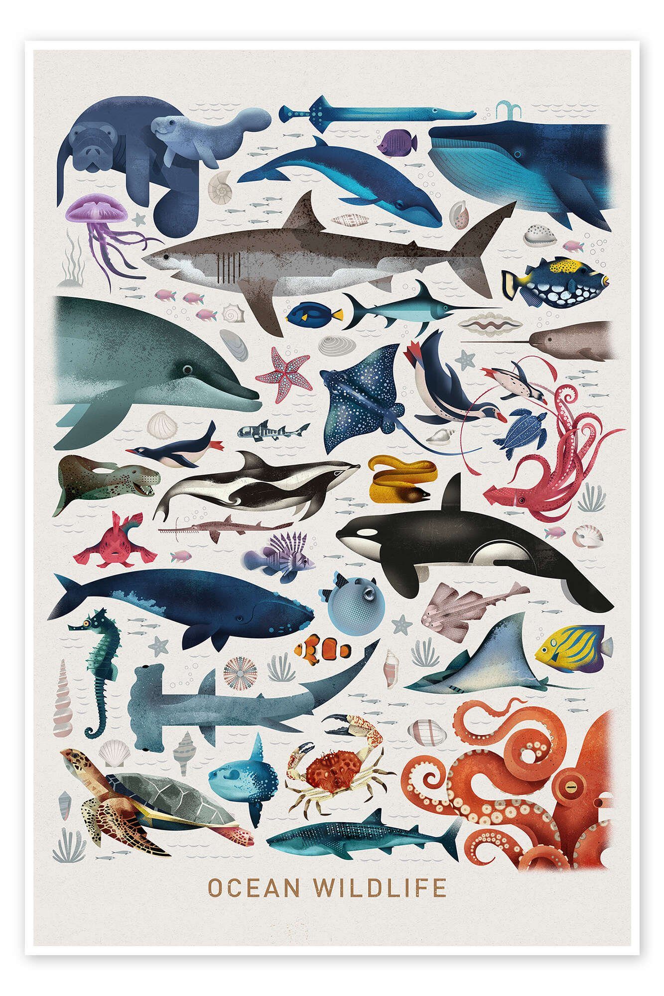 Posterlounge Wandbild Meerestiere, Dieter Braun, erhältlich als Poster, Leinwandbild, Wandsticker oder Acrylglasbild