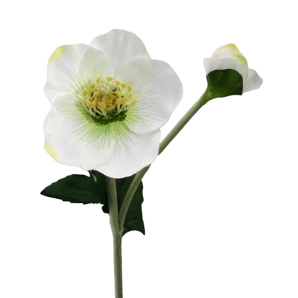 Kunstblume Kunstblume CHRISTROSE Schneerose mit Blüte und Knospe. Ca 44cm., Gasper