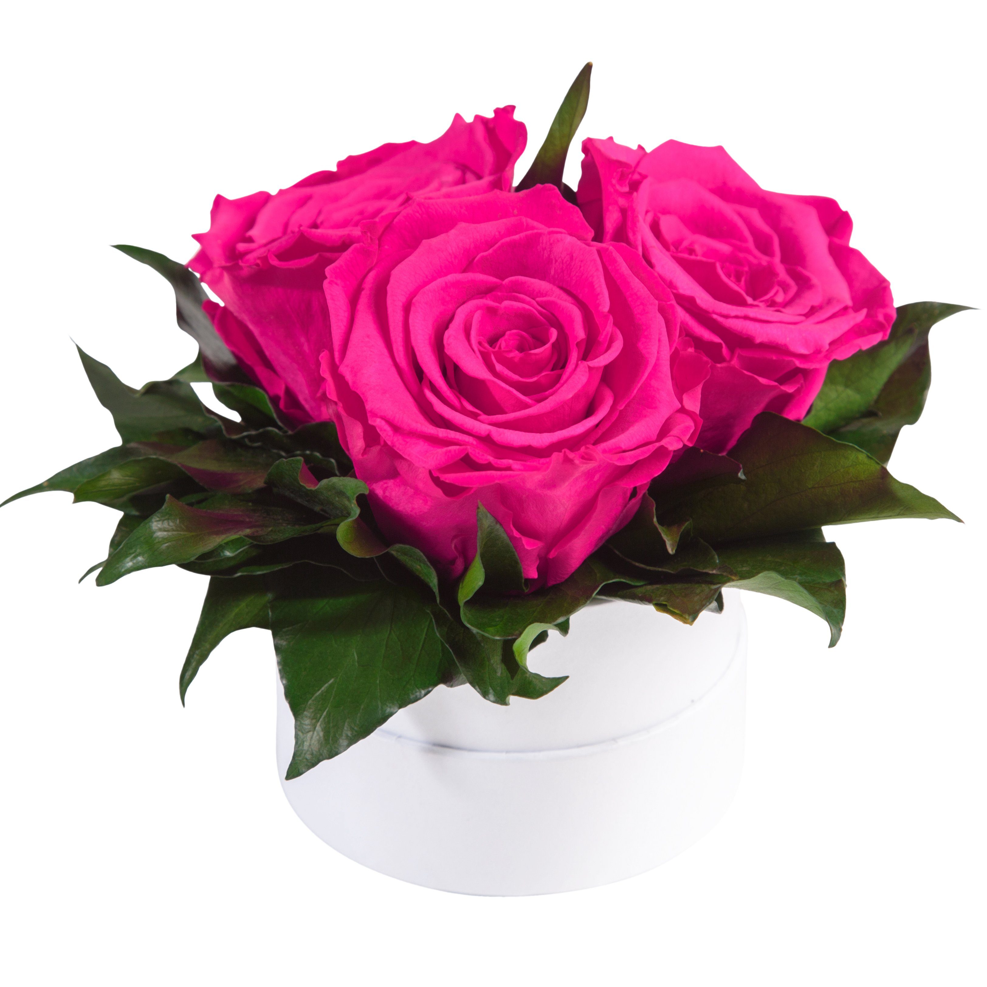 Kunstblume Infinity Rosenbox weiß rund 3 günstig online kaufen