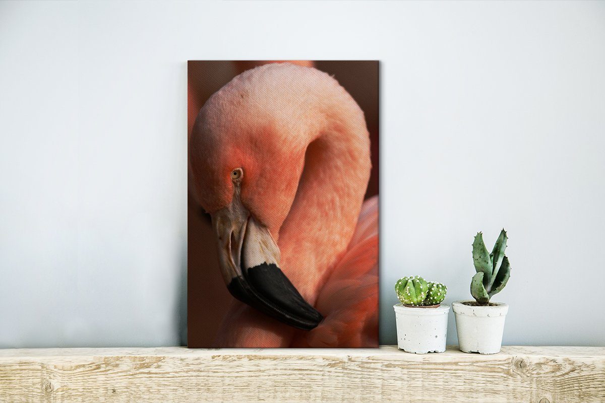 OneMillionCanvasses® Leinwandbild Nahaufnahme 20x30 Zackenaufhänger, mit cm bespannt rosa (1 Leinwandbild chilenischen inkl. Flamingos fertig eines Kopf, Gemälde, St)