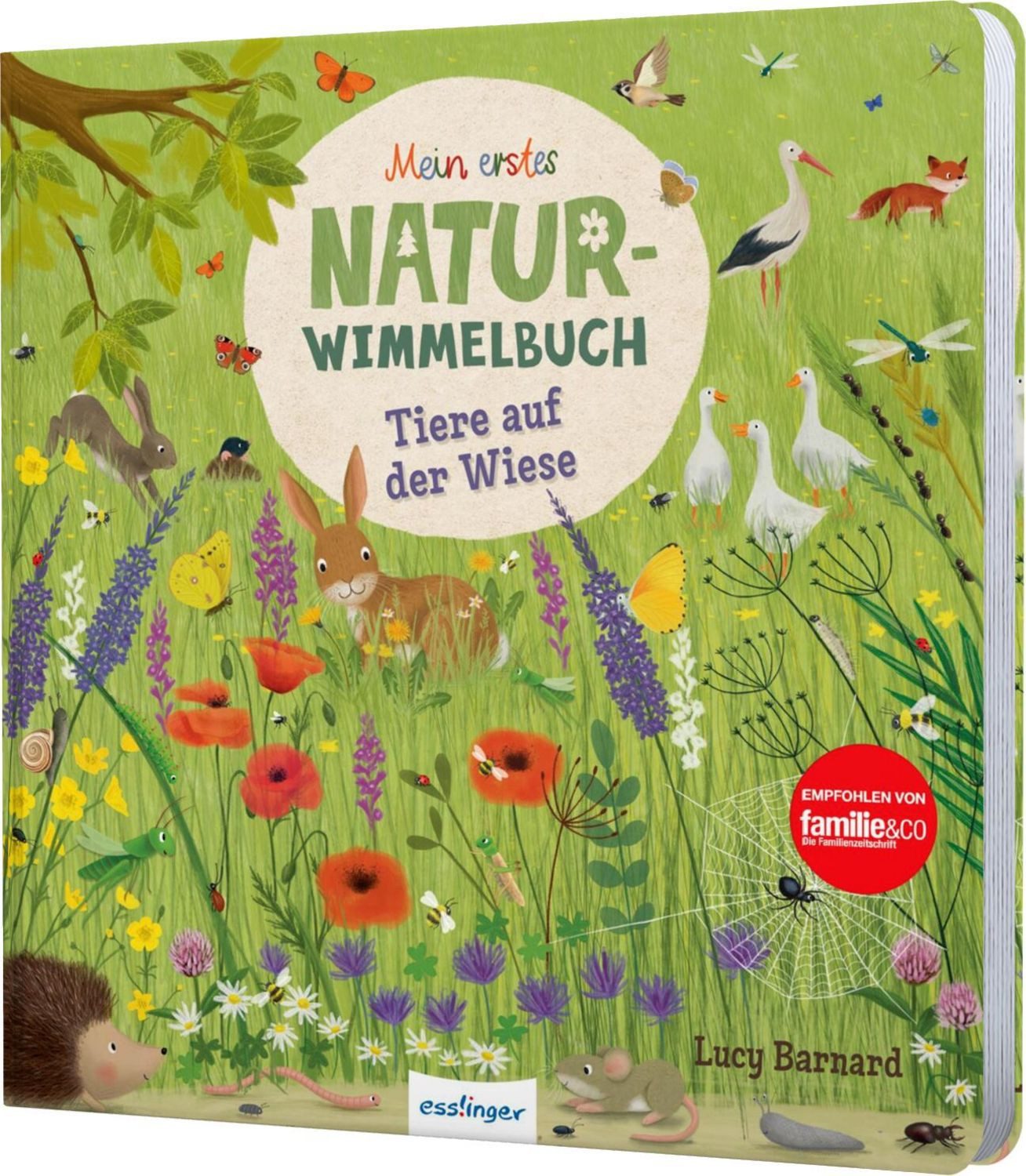 Mein erstes Natur-Wimmelbuch: Tiere auf der Wiese / Katharina Lotz