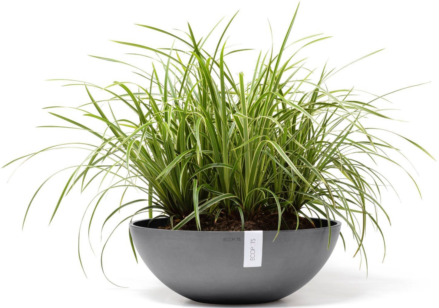 ECOPOTS Blumentopf VIENNA Grey, BxTxH: 50x50x18 cm günstig online kaufen