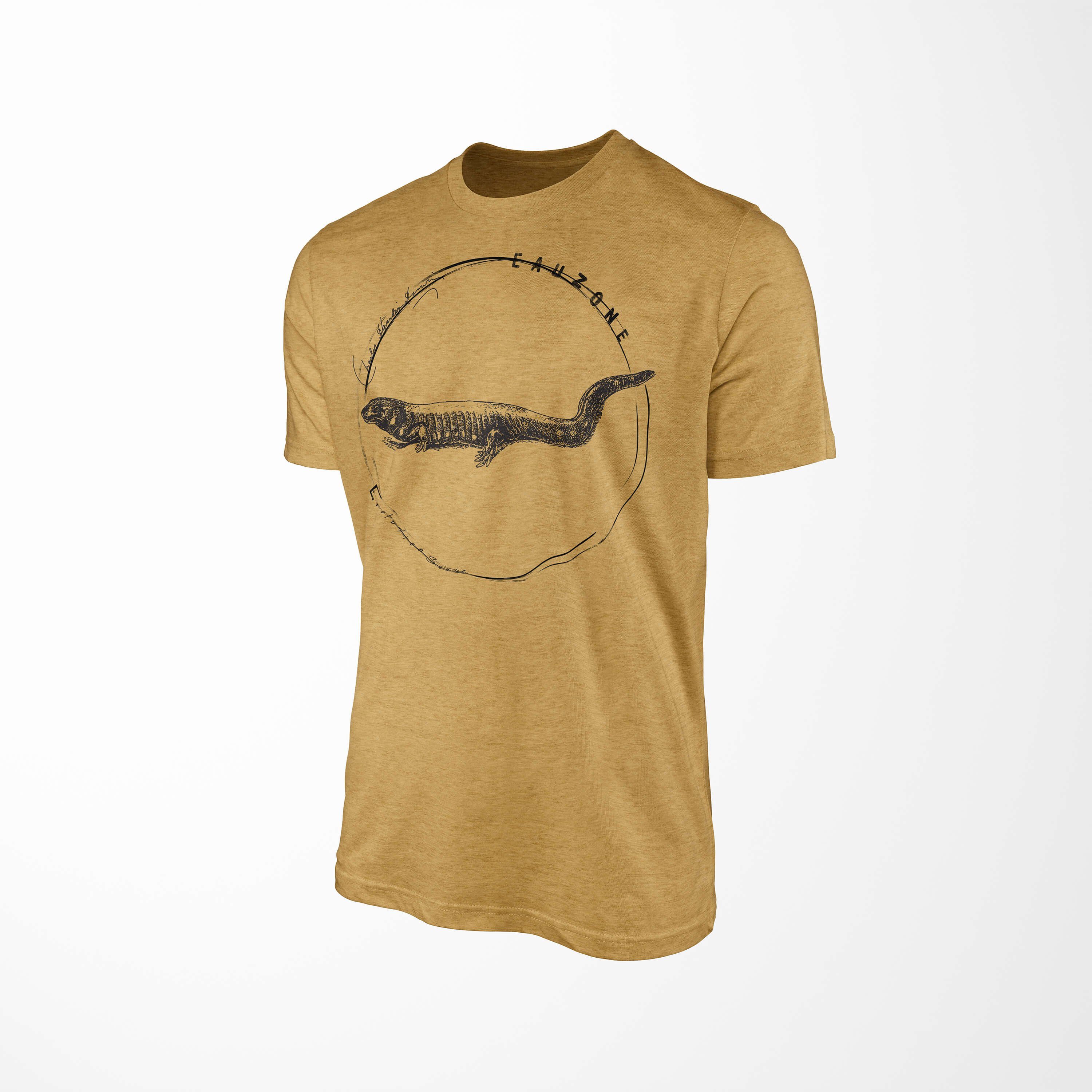 Sinus Art T-Shirt Evolution Herren Gold Antique T-Shirt Amblystoma