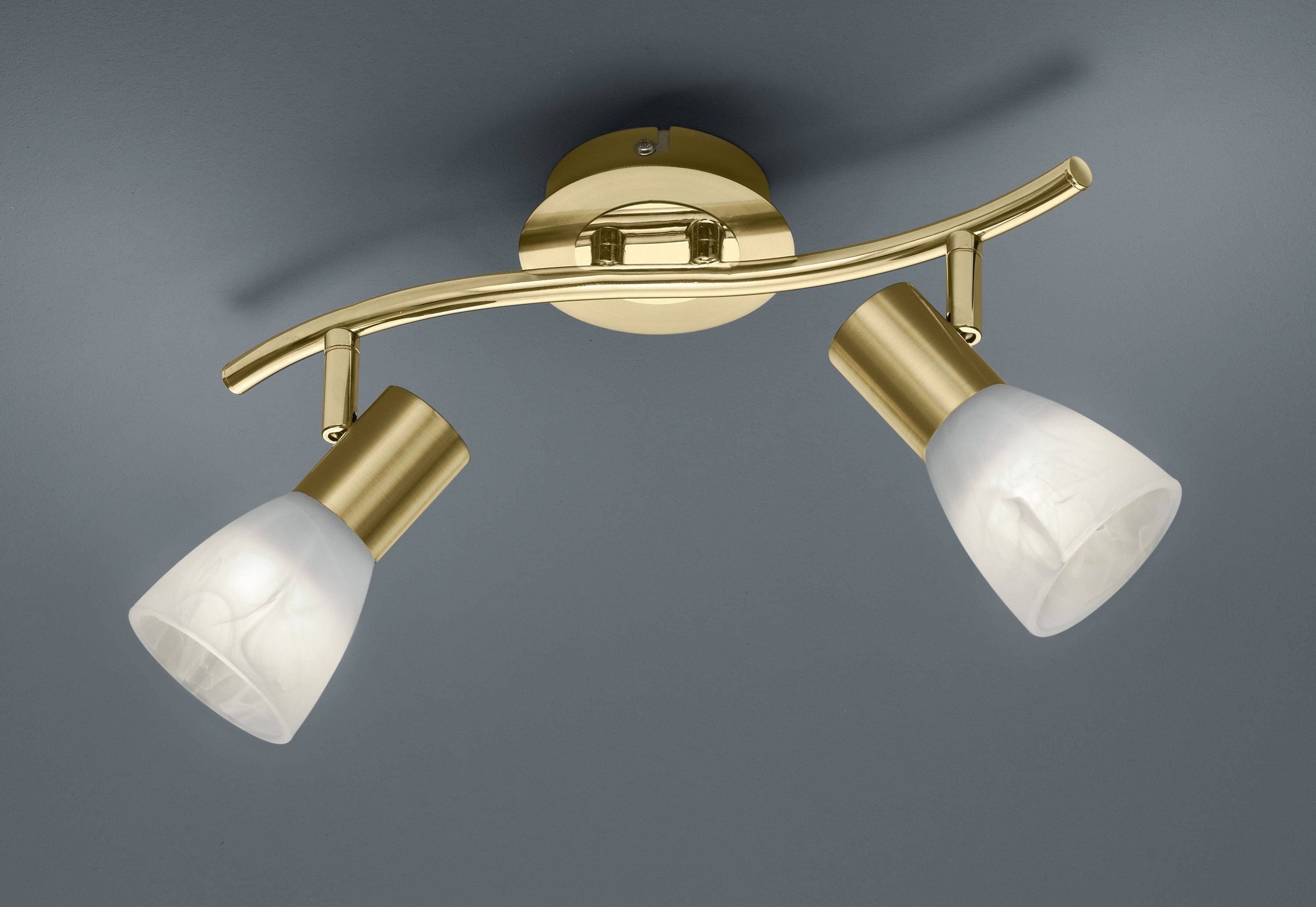 TRIO Leuchten LED Deckenstrahler LEVISTO, LED wechselbar, LED Deckenleuchte günstig online kaufen