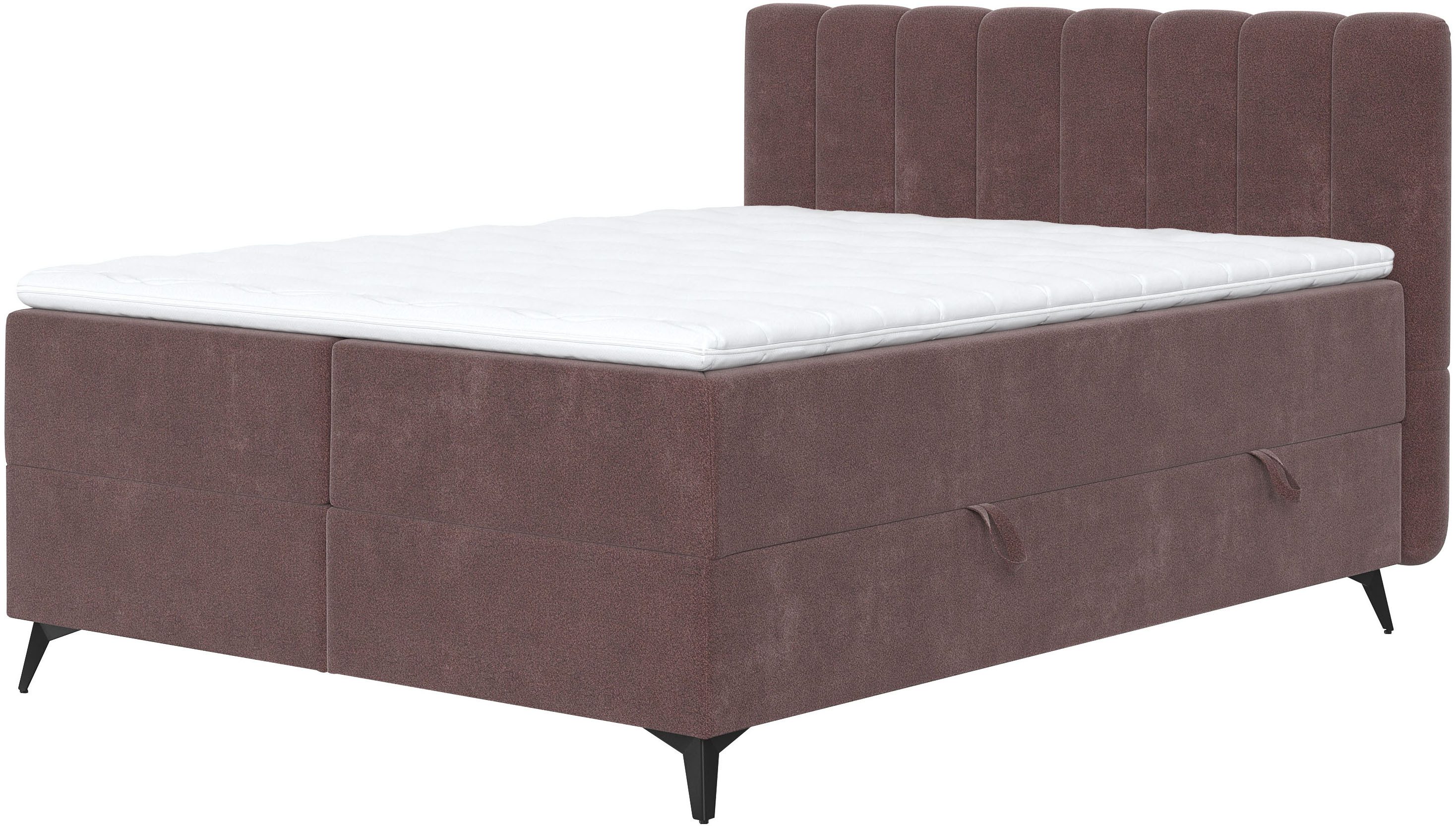 COTTA Boxbett Vicky inkl. Bettkasten, erhältlich in den Breiten 160x200cm & 180x200cm
