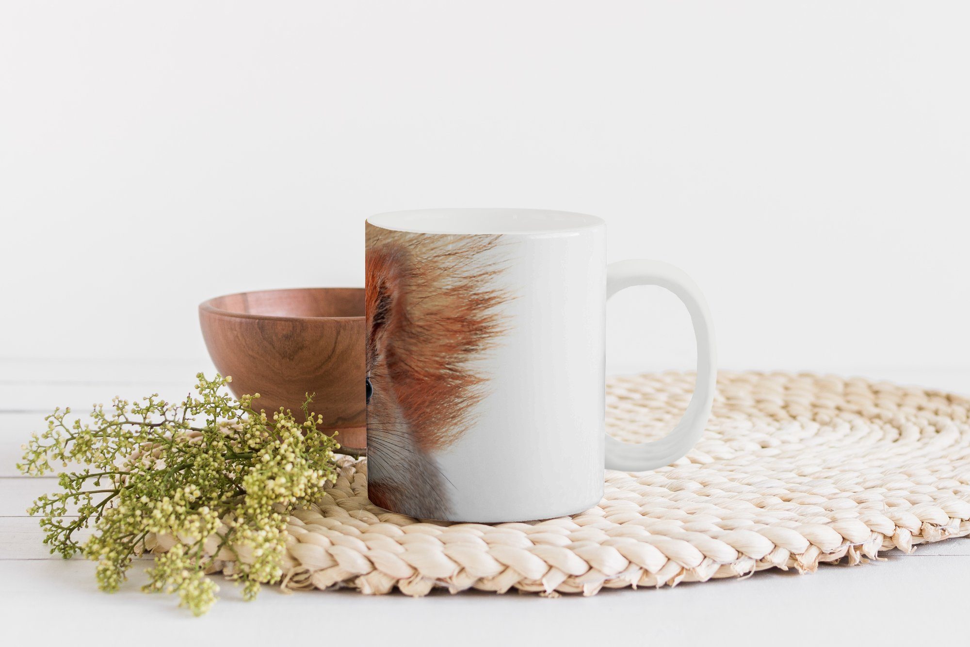 MuchoWow Tasse Eichhörnchen - Tiere - Weiß, Geschenk Teetasse, - Kaffeetassen, Natur Orange - Becher, Keramik, Teetasse
