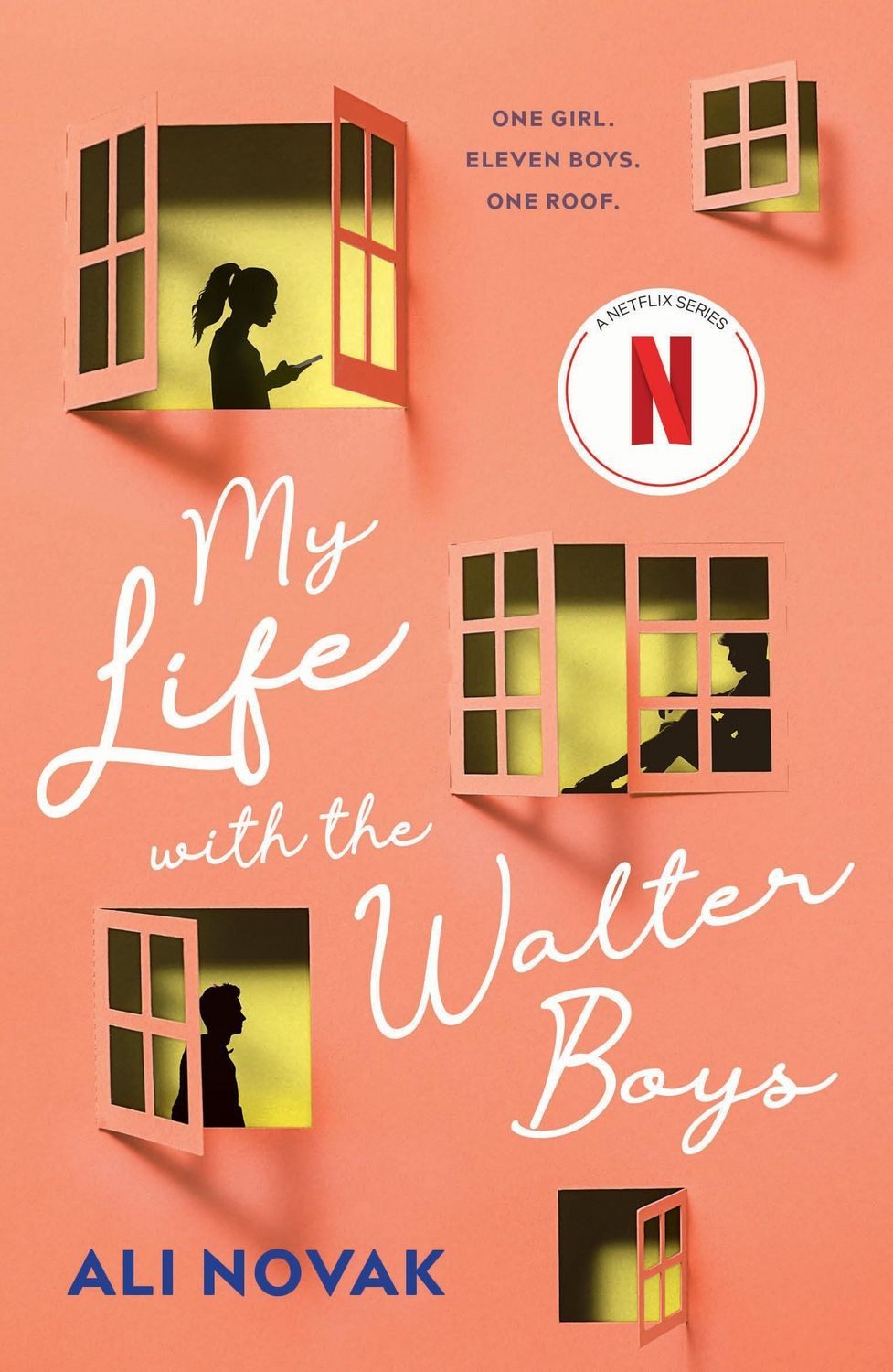 My Life with the Walter Boys / Ali Novak