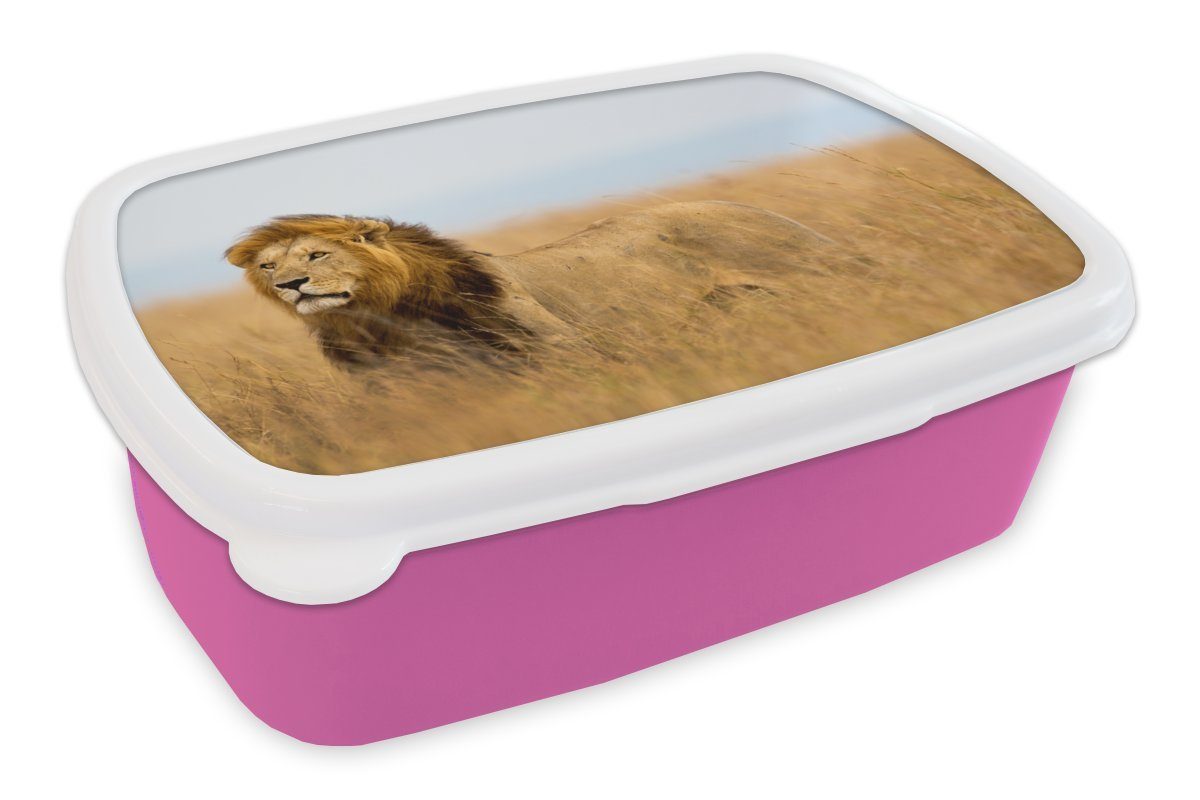 MuchoWow Lunchbox Löwen - Gras - Afrika, Kunststoff, (2-tlg), Brotbox für Erwachsene, Brotdose Kinder, Snackbox, Mädchen, Kunststoff rosa