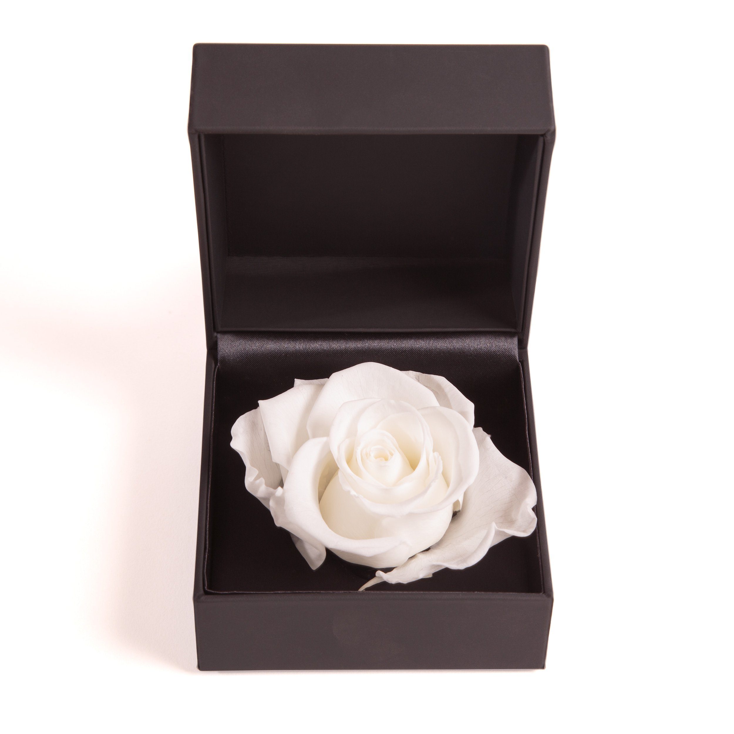 Kunstblume Rosenbox Ringbox Groß Höhe Rose in Box Langlebige cm, Weiß SCHULZ Infinity Ringdose Heidelberg, 9 konserviert Rose ROSEMARIE Rose