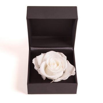 Kunstblume Rosenbox Ringbox Groß Infinity Rose konserviert in Box Ringdose Rose, ROSEMARIE SCHULZ Heidelberg, Höhe 9 cm, Langlebige Rose