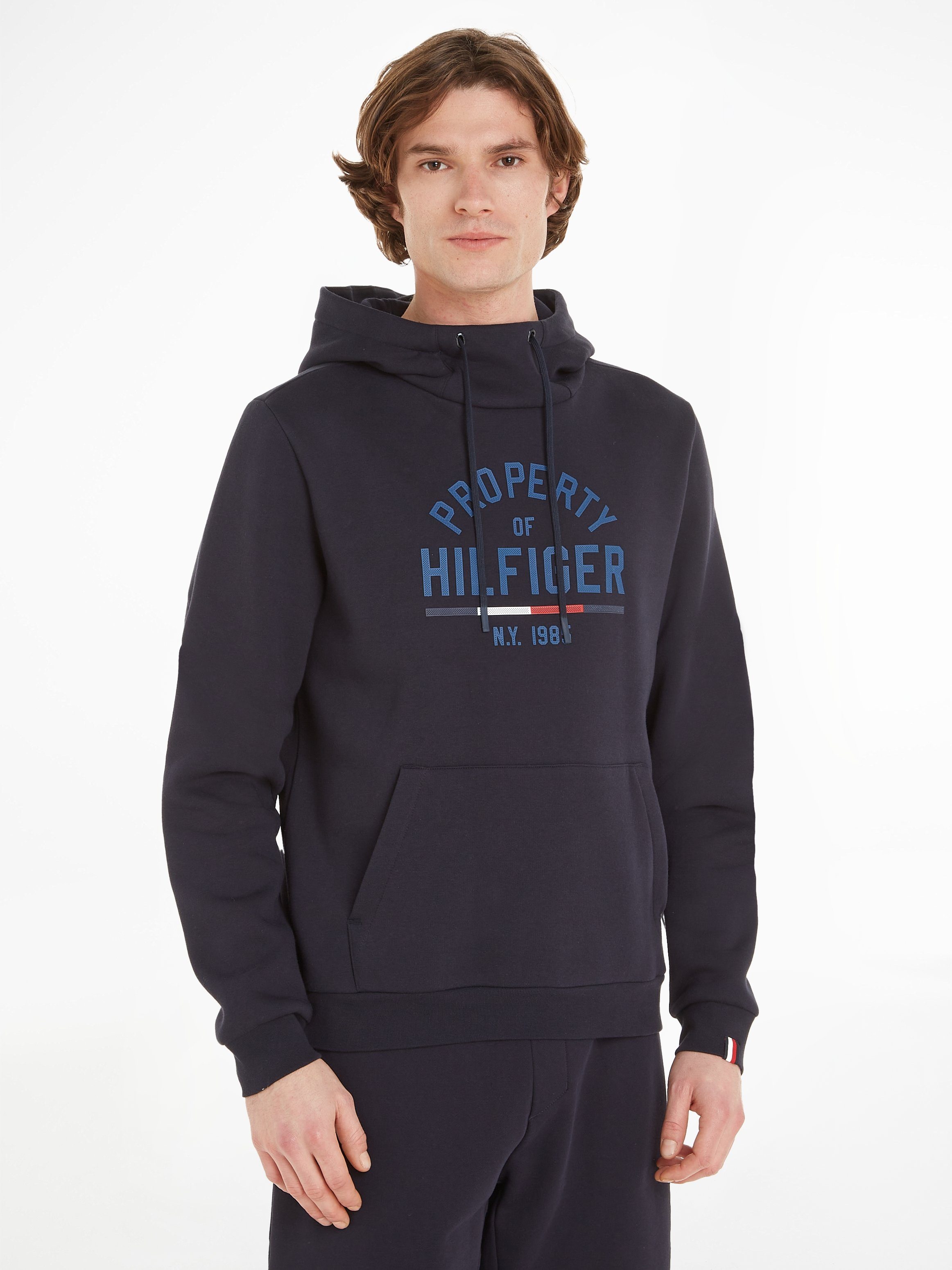 Tommy Hilfiger Sport Kapuzensweatshirt GRAPHIC HOODY desert sky