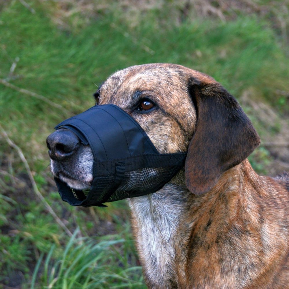 TRIXIE Maulkorb Maulkorb mit Netzeinsatz